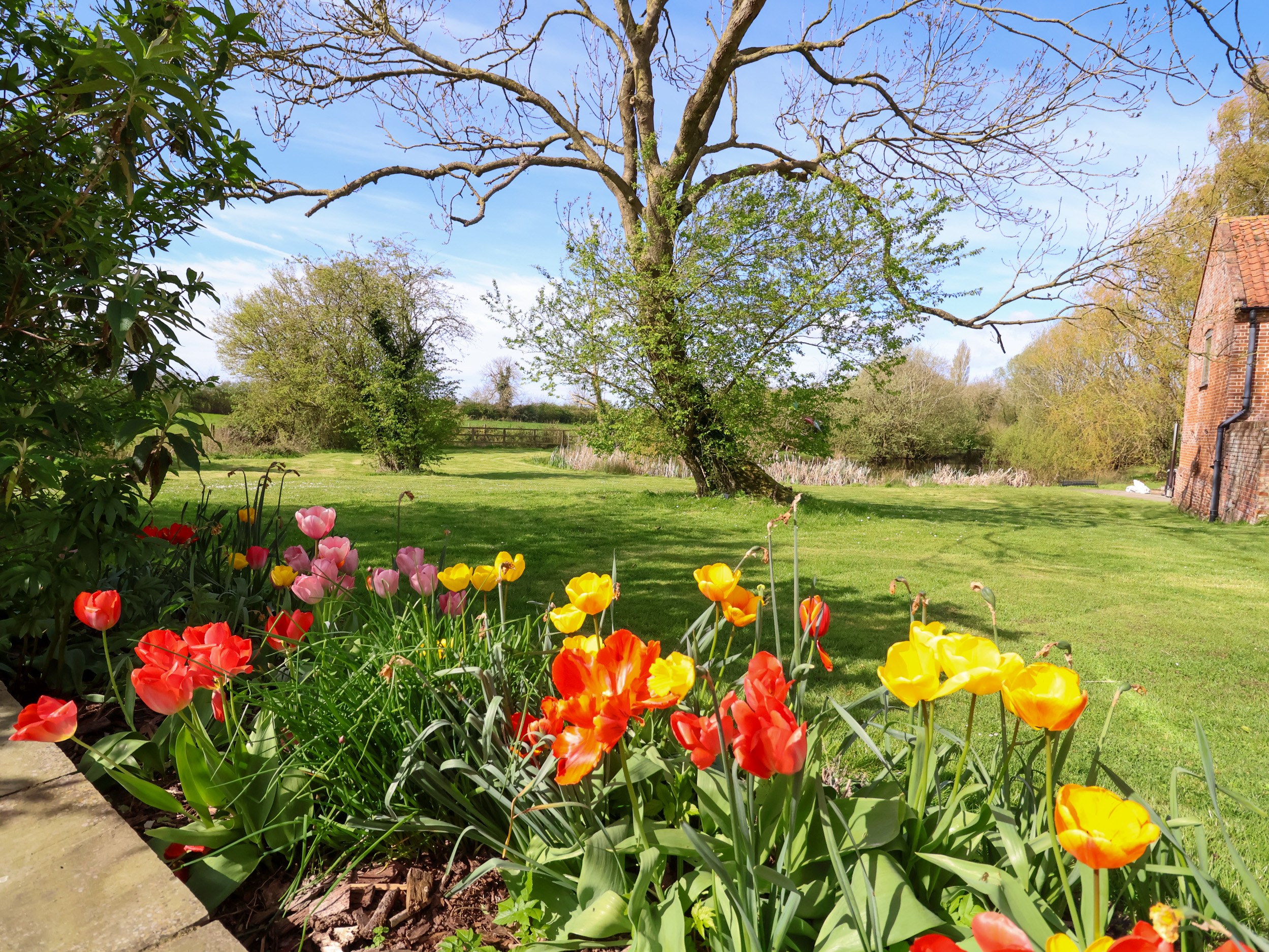 Property image 31 for SC1153933