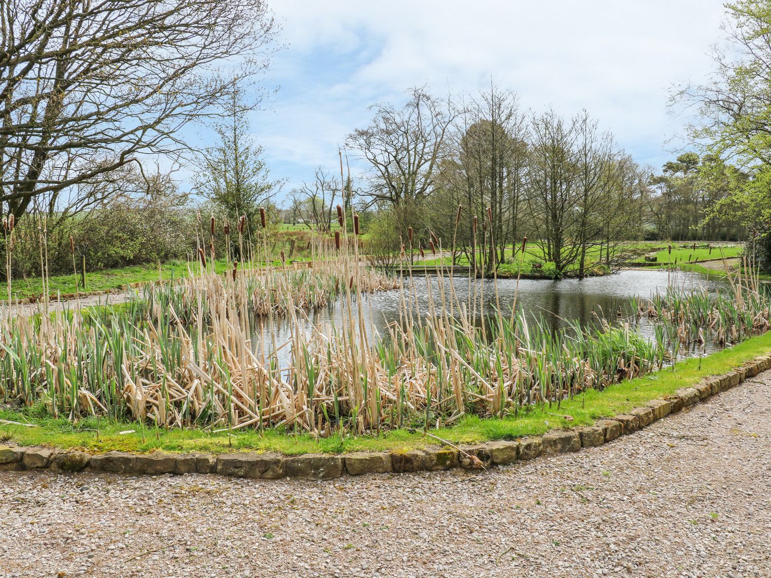 Property image 38 for SC1154051