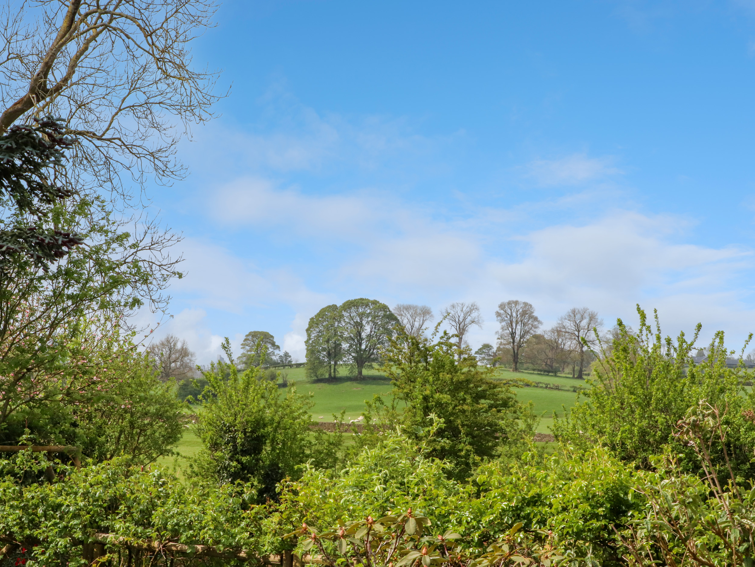 Property image 33 for SC1154760