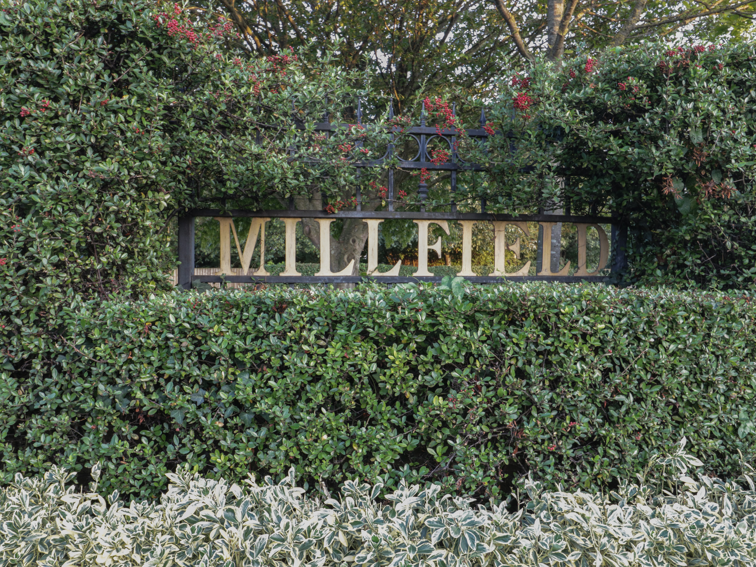 Property image 81 for SC1154930