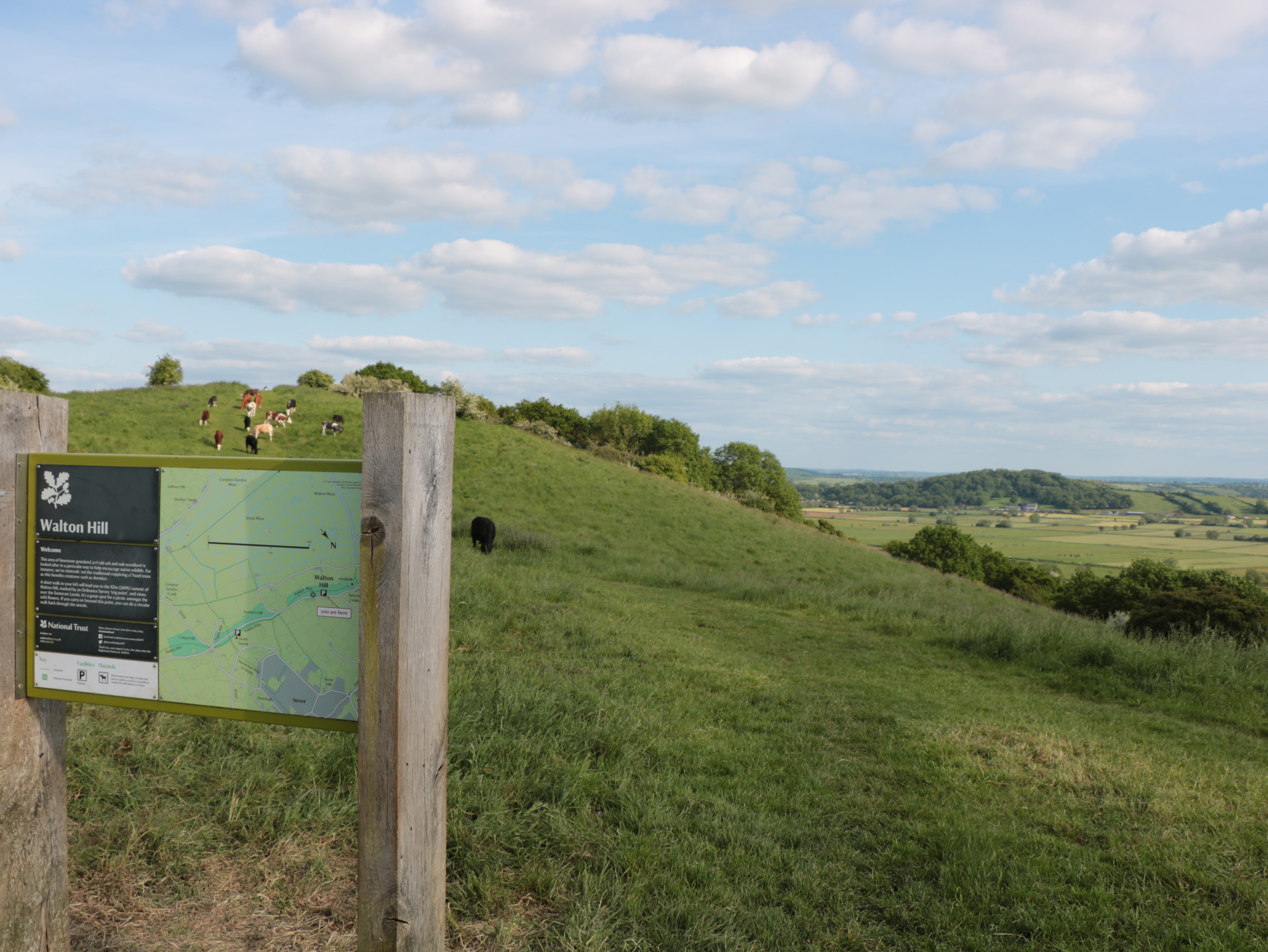 Property image 85 for SC1154930