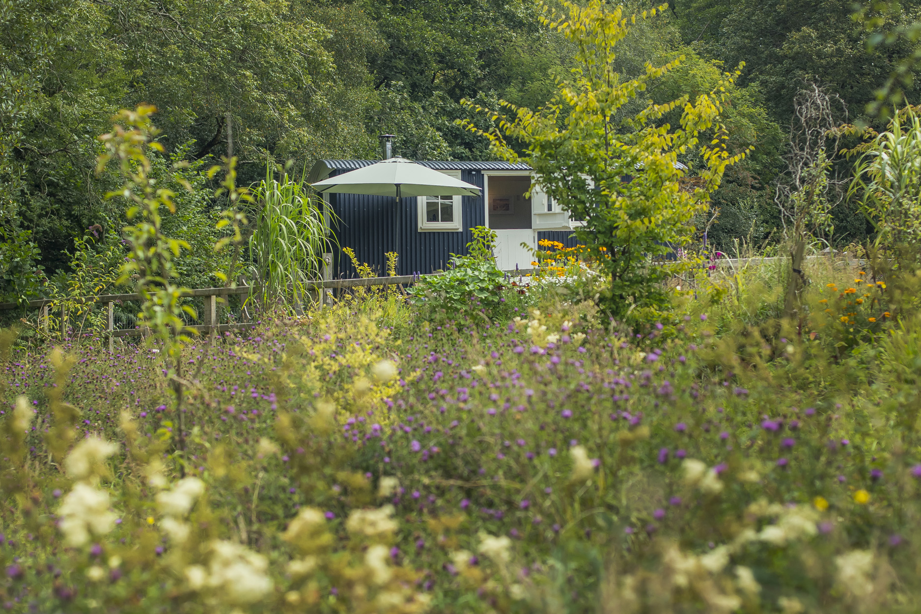Property image 27 for SC1155156