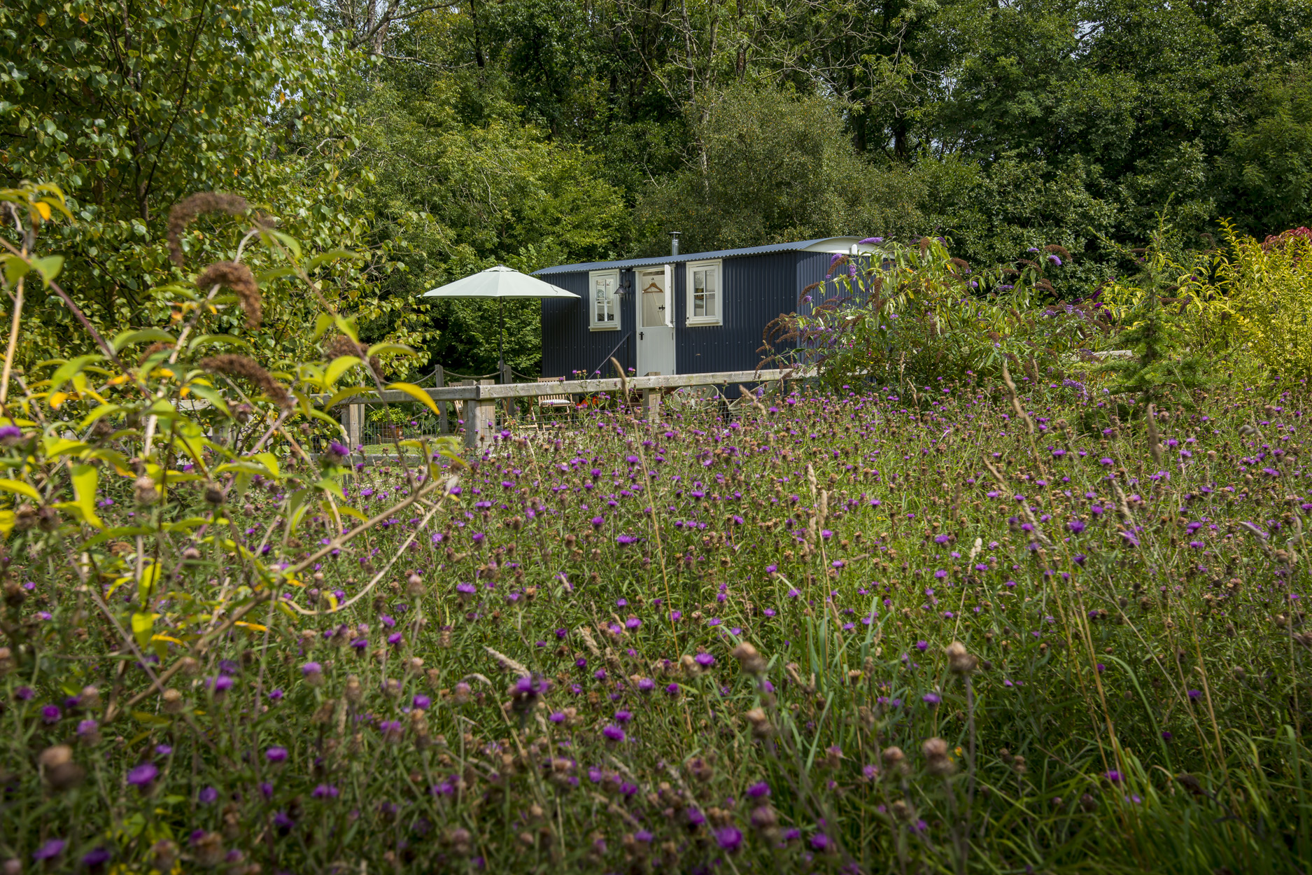 Property image 26 for SC1155156