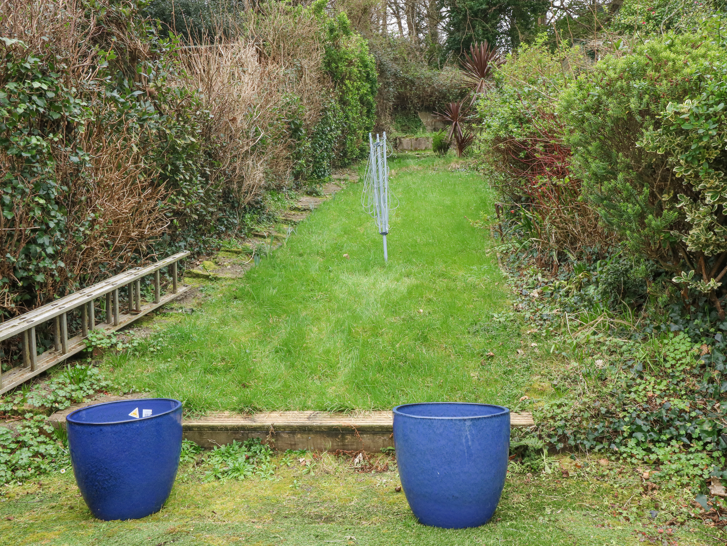 Property image 29 for SC1155501