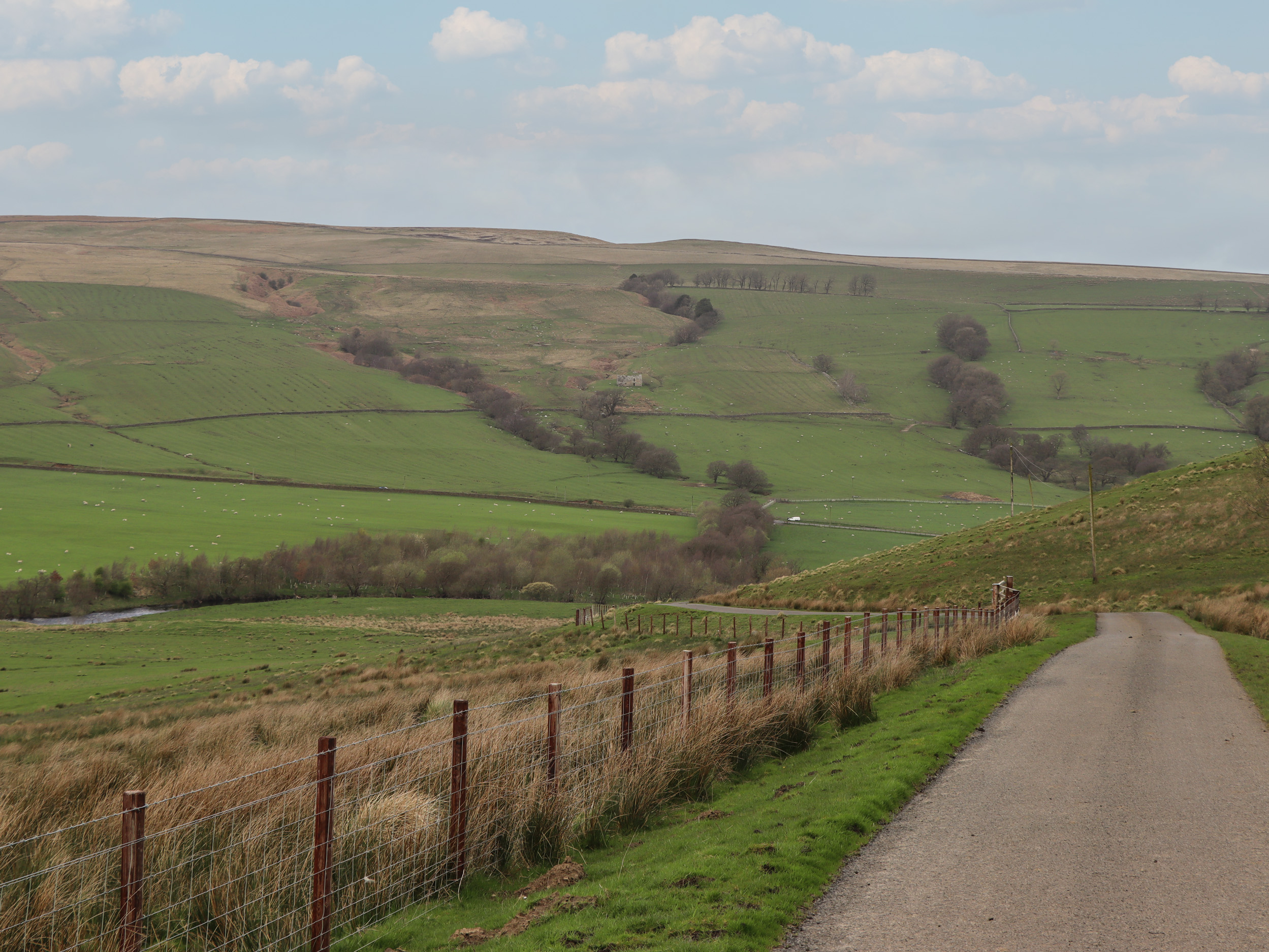 Property image 15 for SC1155595