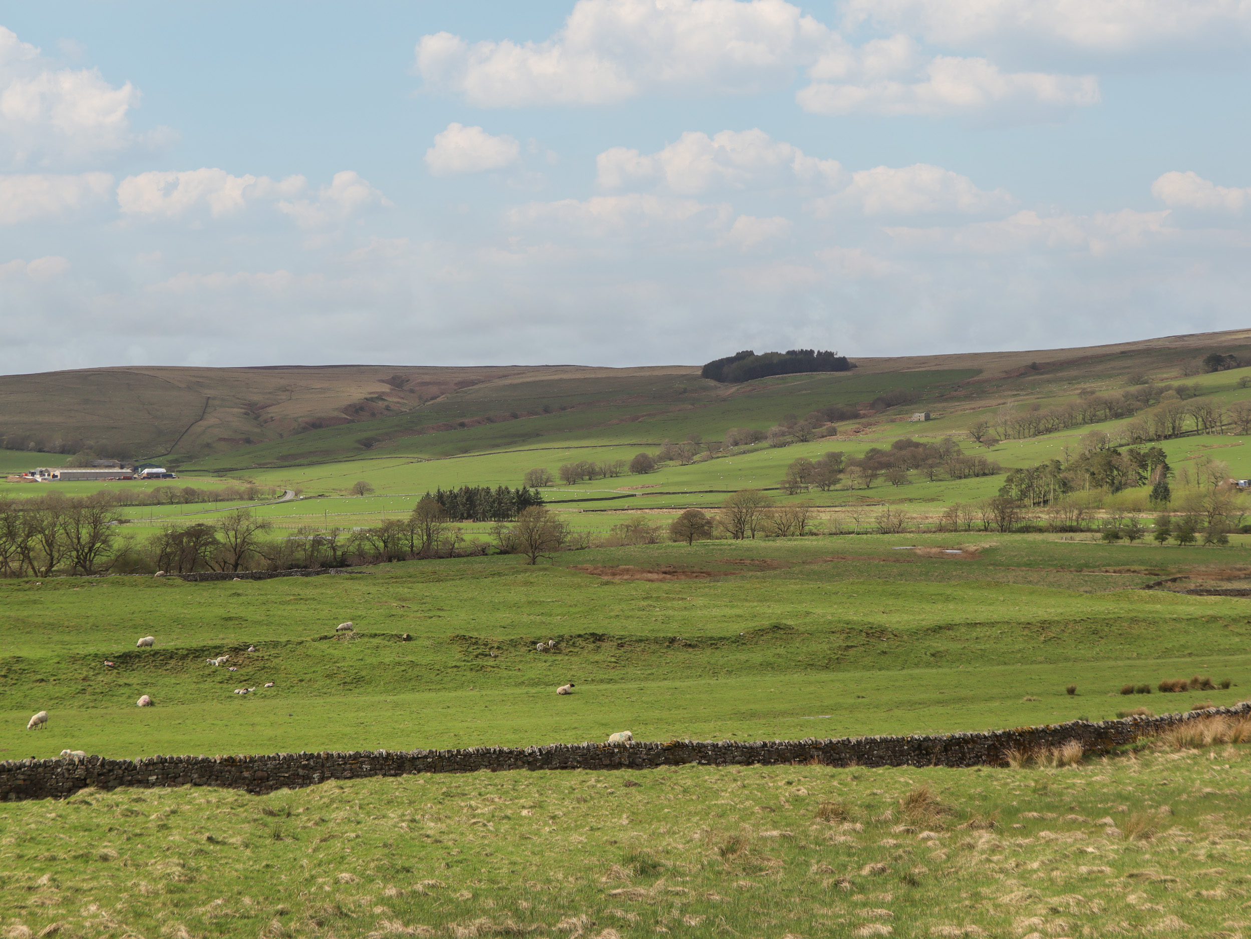 Property image 17 for SC1155595