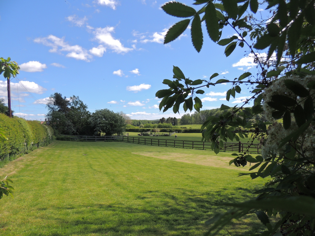 Property image 3 for SC1155969
