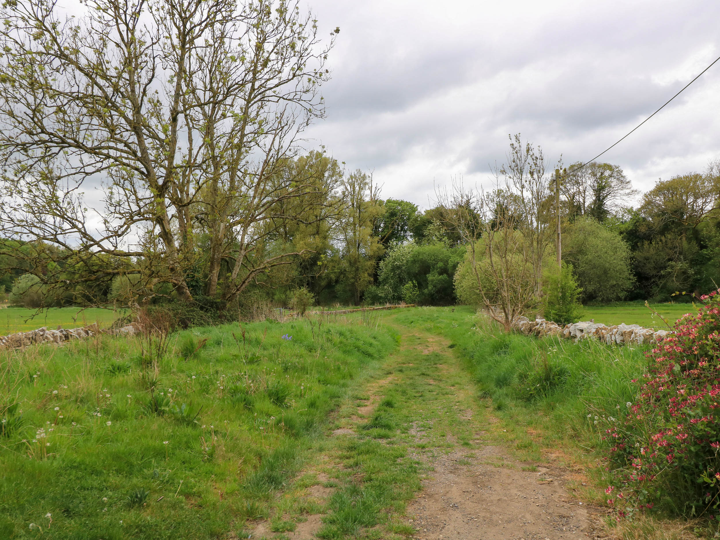 Property image 25 for SC1156022