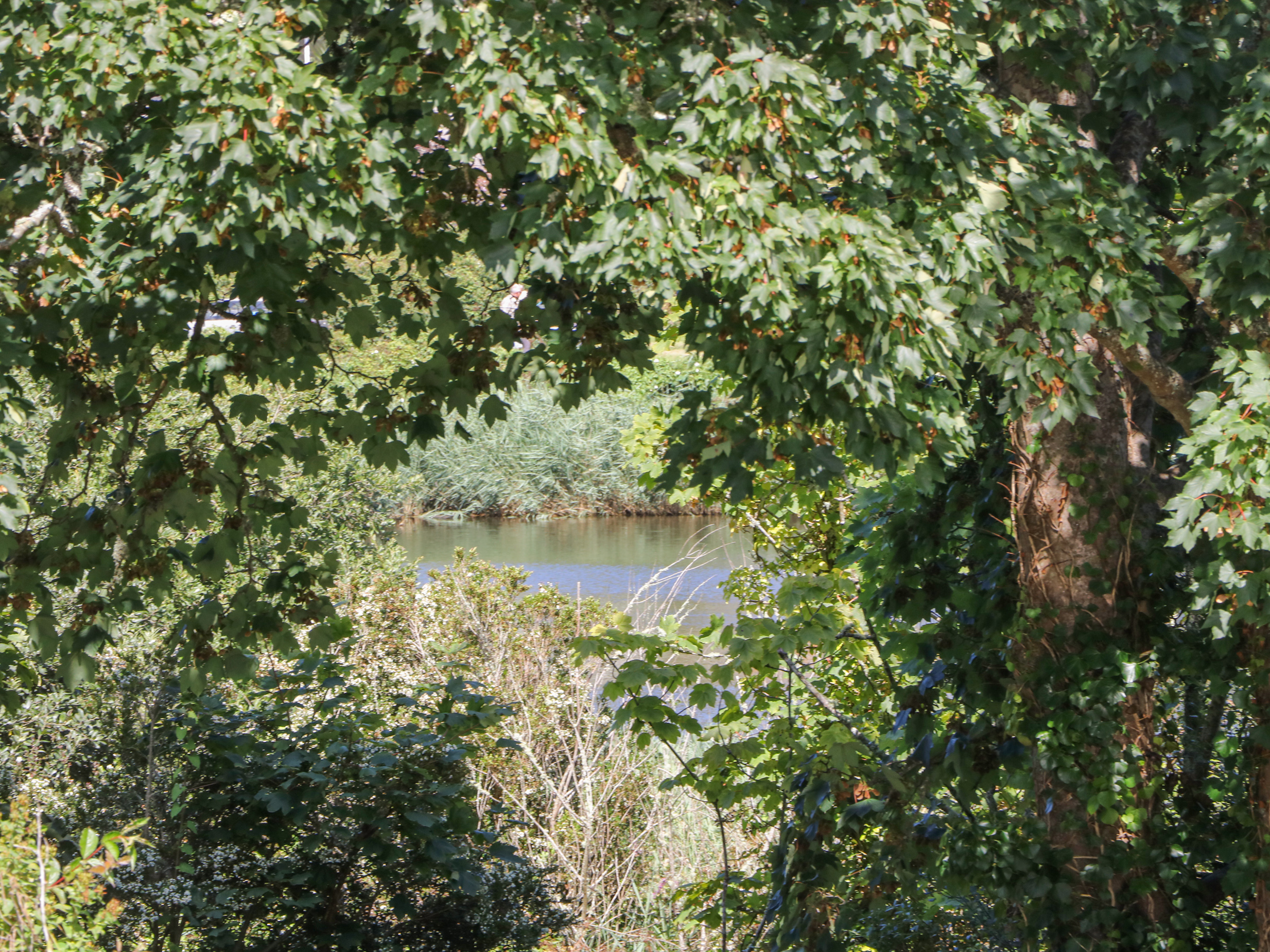 Property image 30 for SC1156795