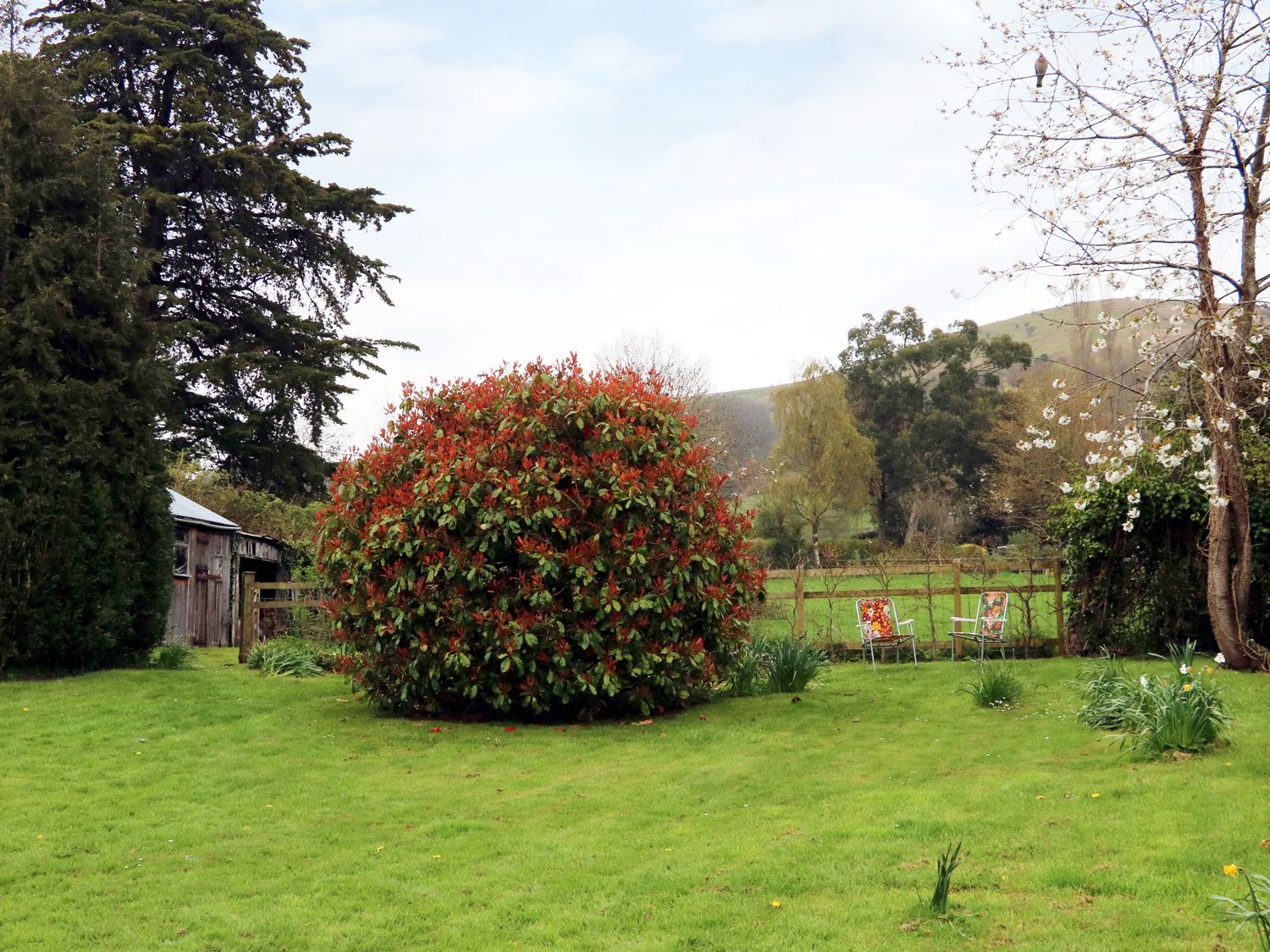 Property image 22 for SC1156796