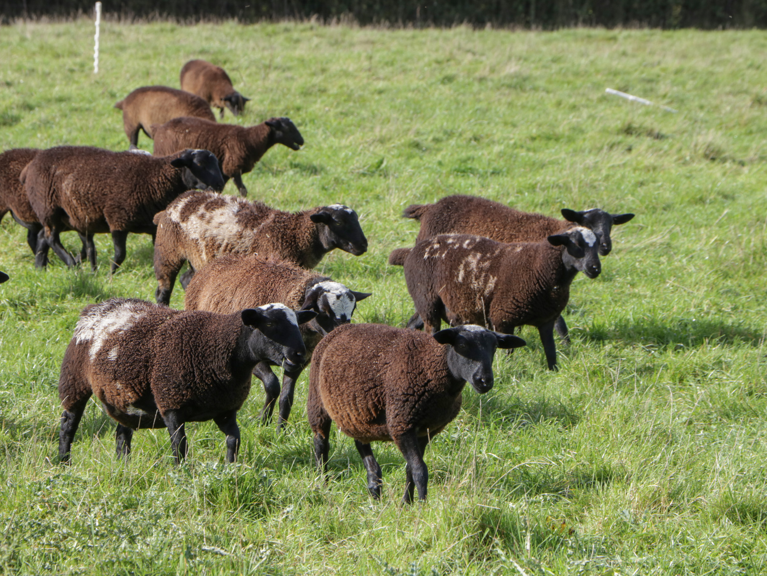 Property image 22 for SC1156936