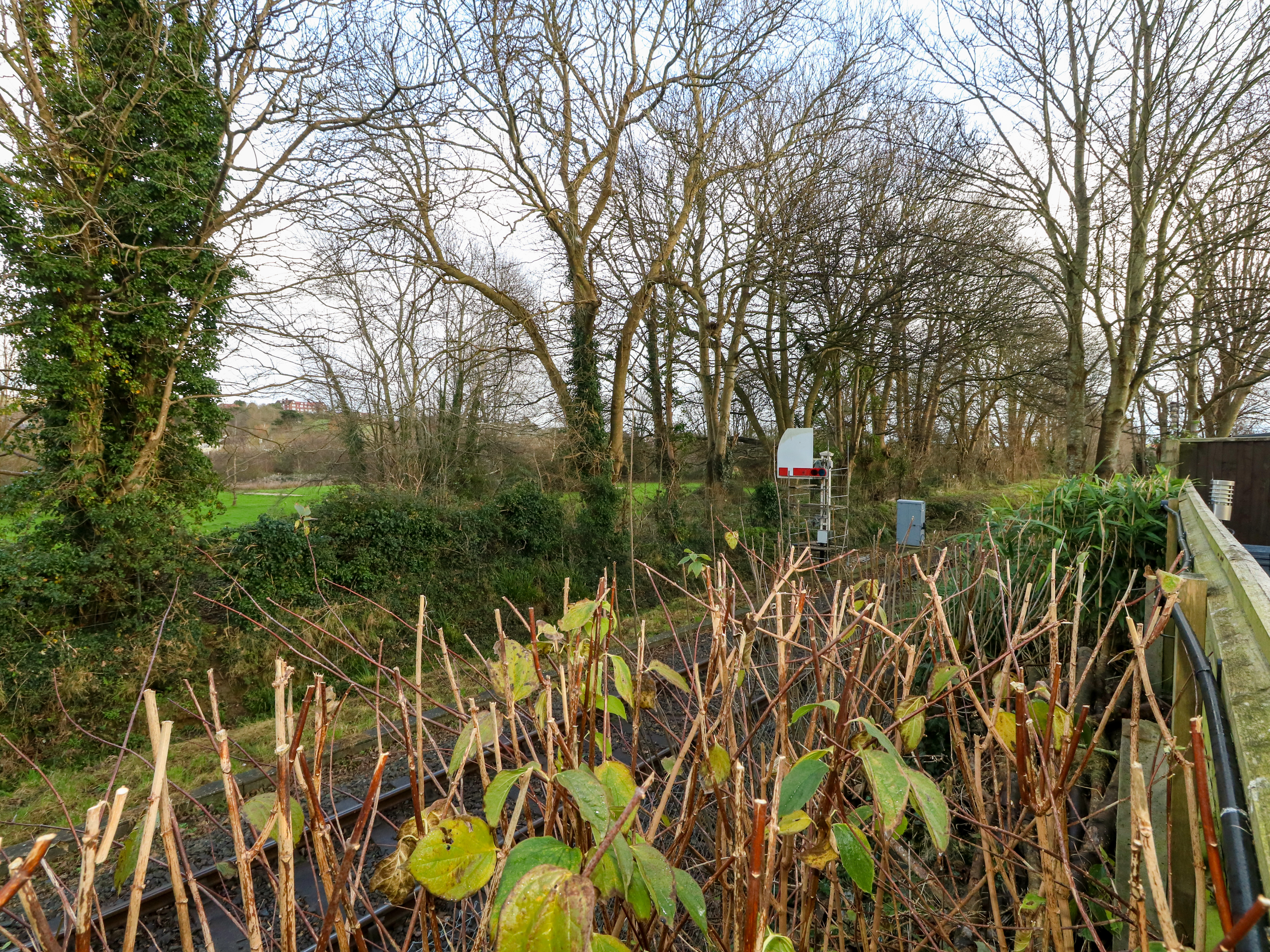 Property image 29 for SC1157056