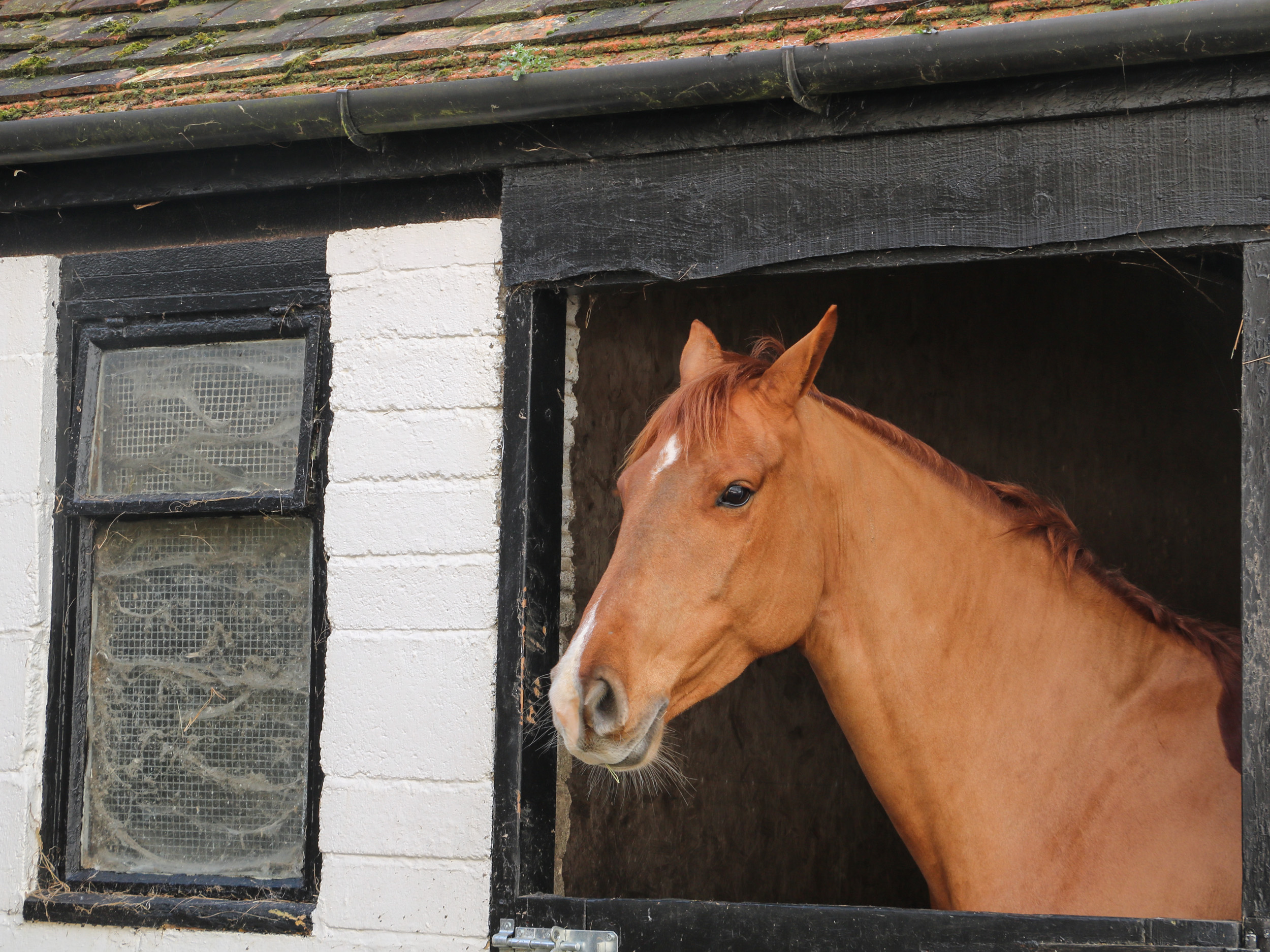 Property image 23 for SC1157167