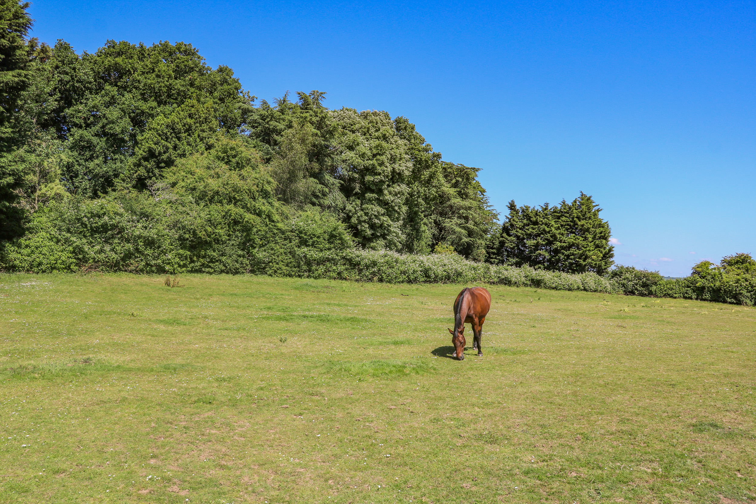 Property image 29 for SC1157167