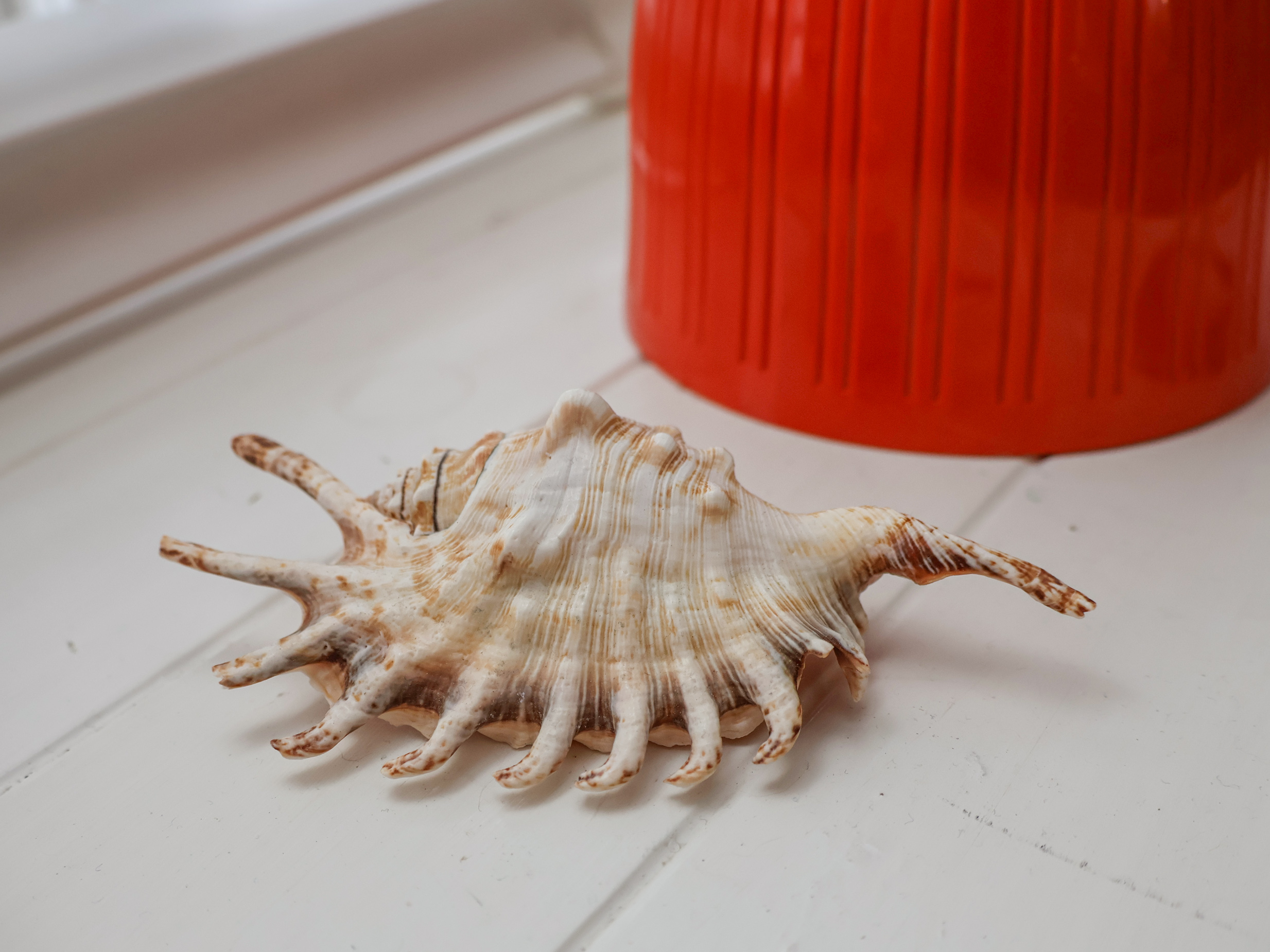 Property image 13 for SC1157323