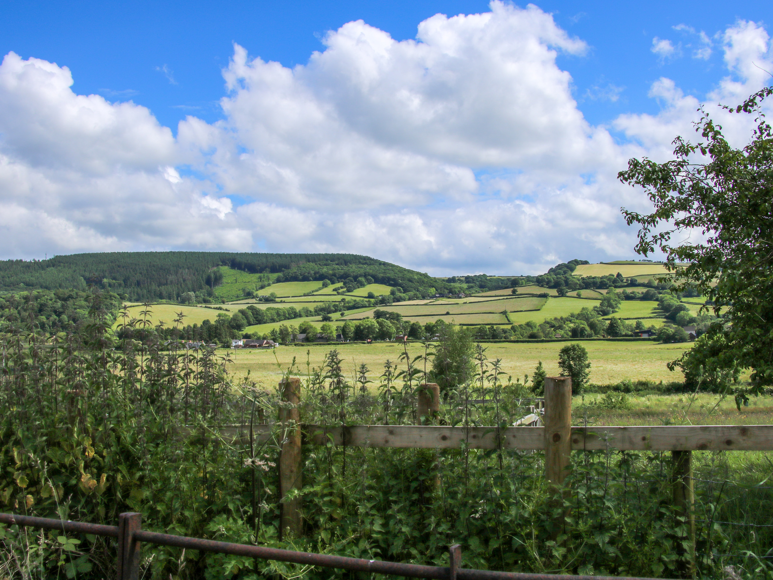 Property image 16 for SC1157475