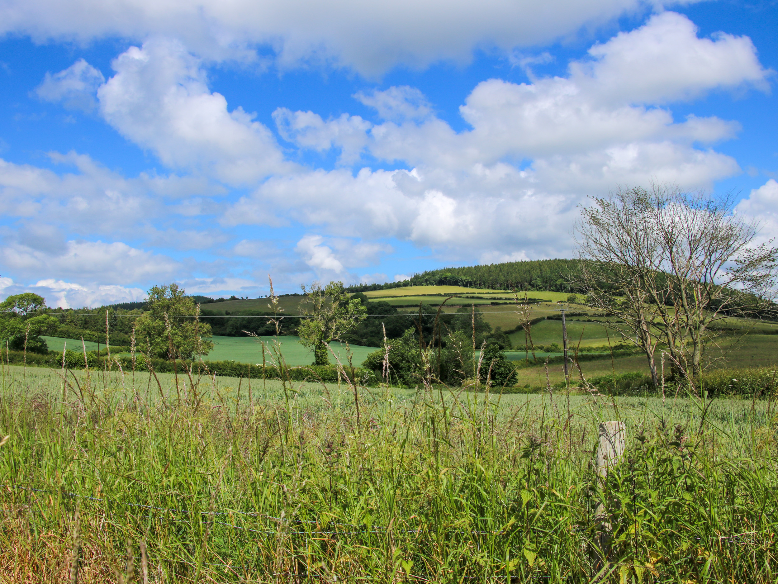 Property image 17 for SC1157475