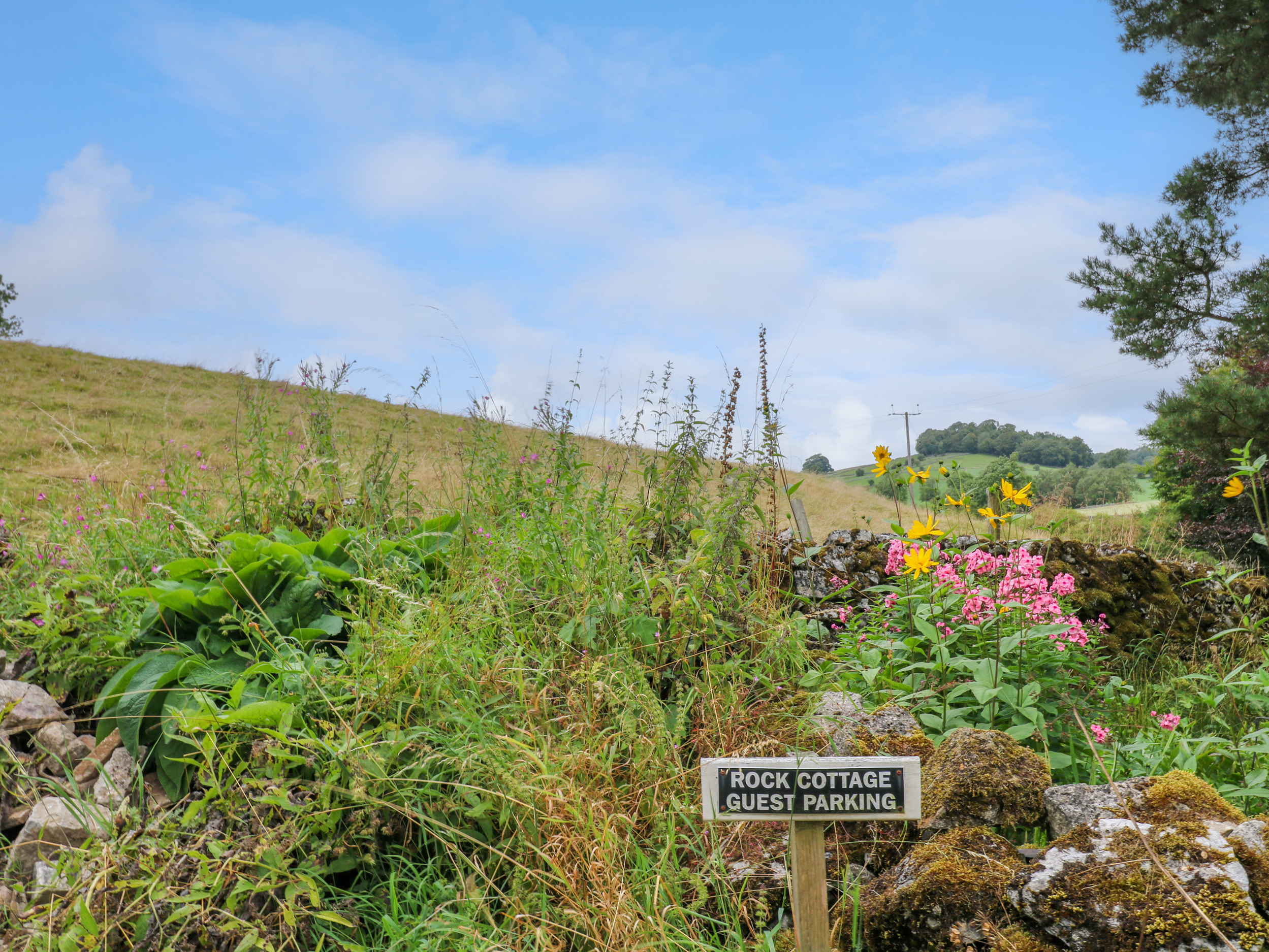 Property image 30 for SC1157974