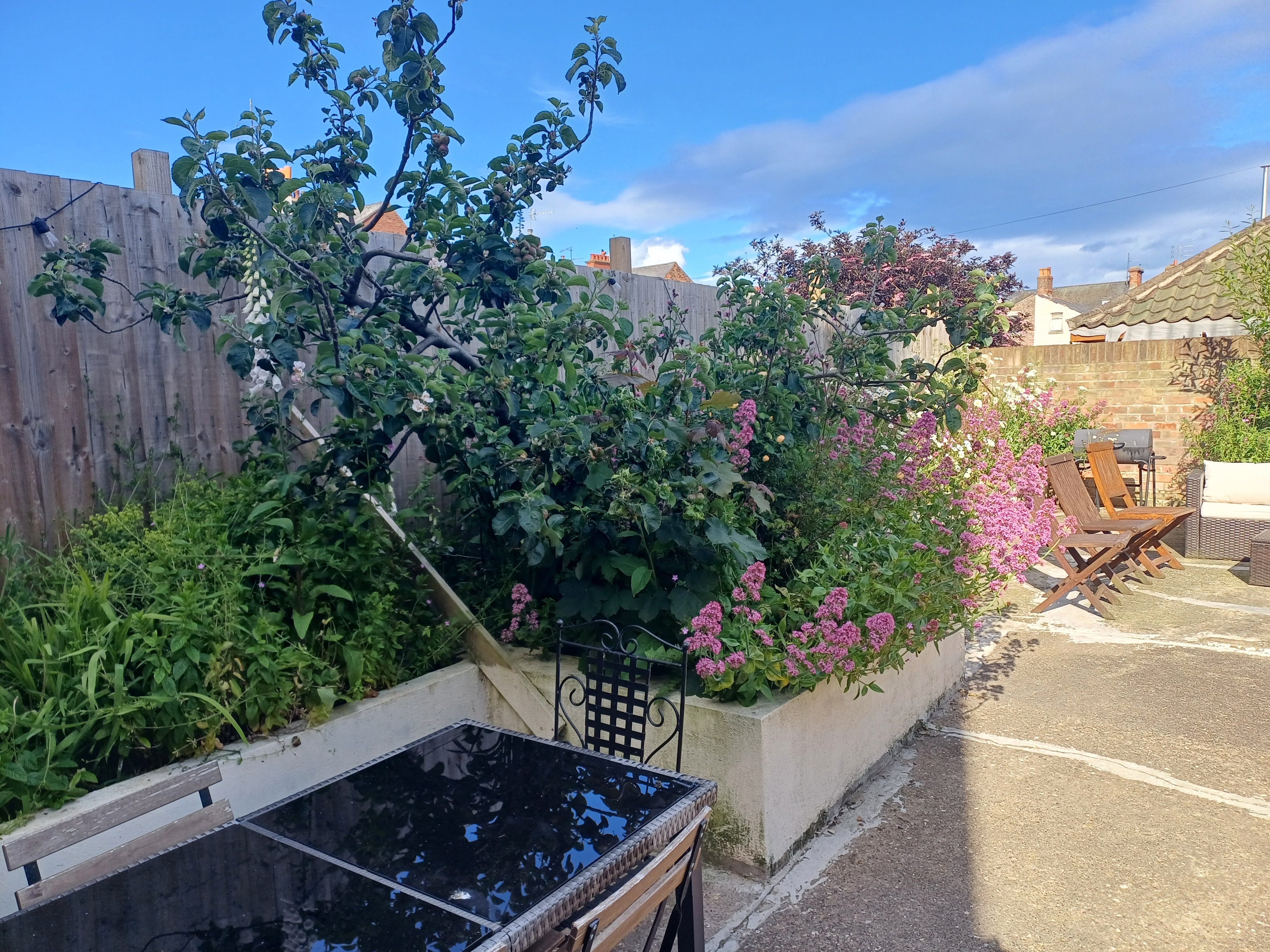 Property image 49 for SC1158924