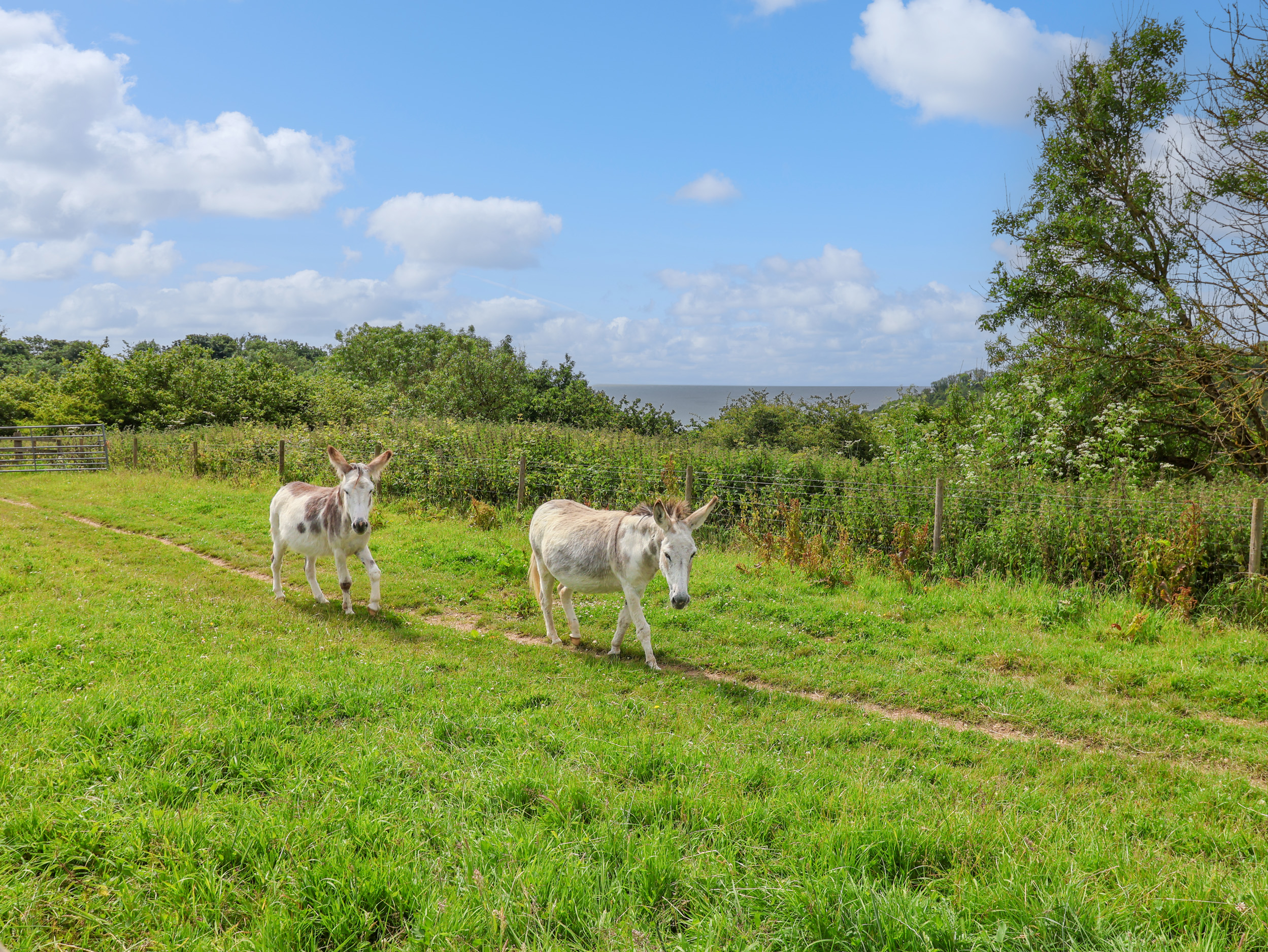 Property image 17 for SC1159239