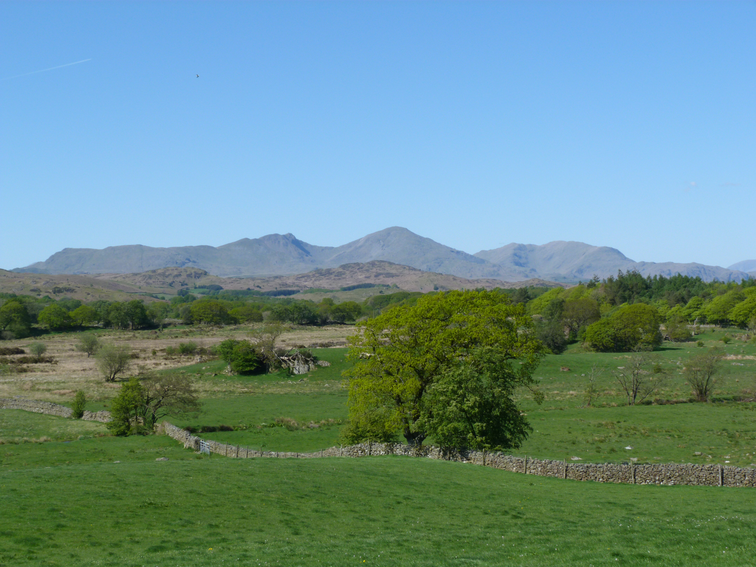 Property image 51 for SC1159330