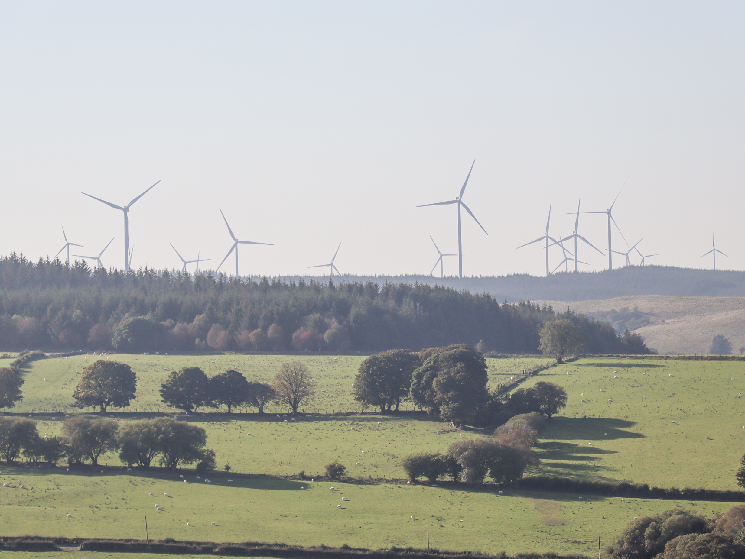 Property image 38 for SC1159387