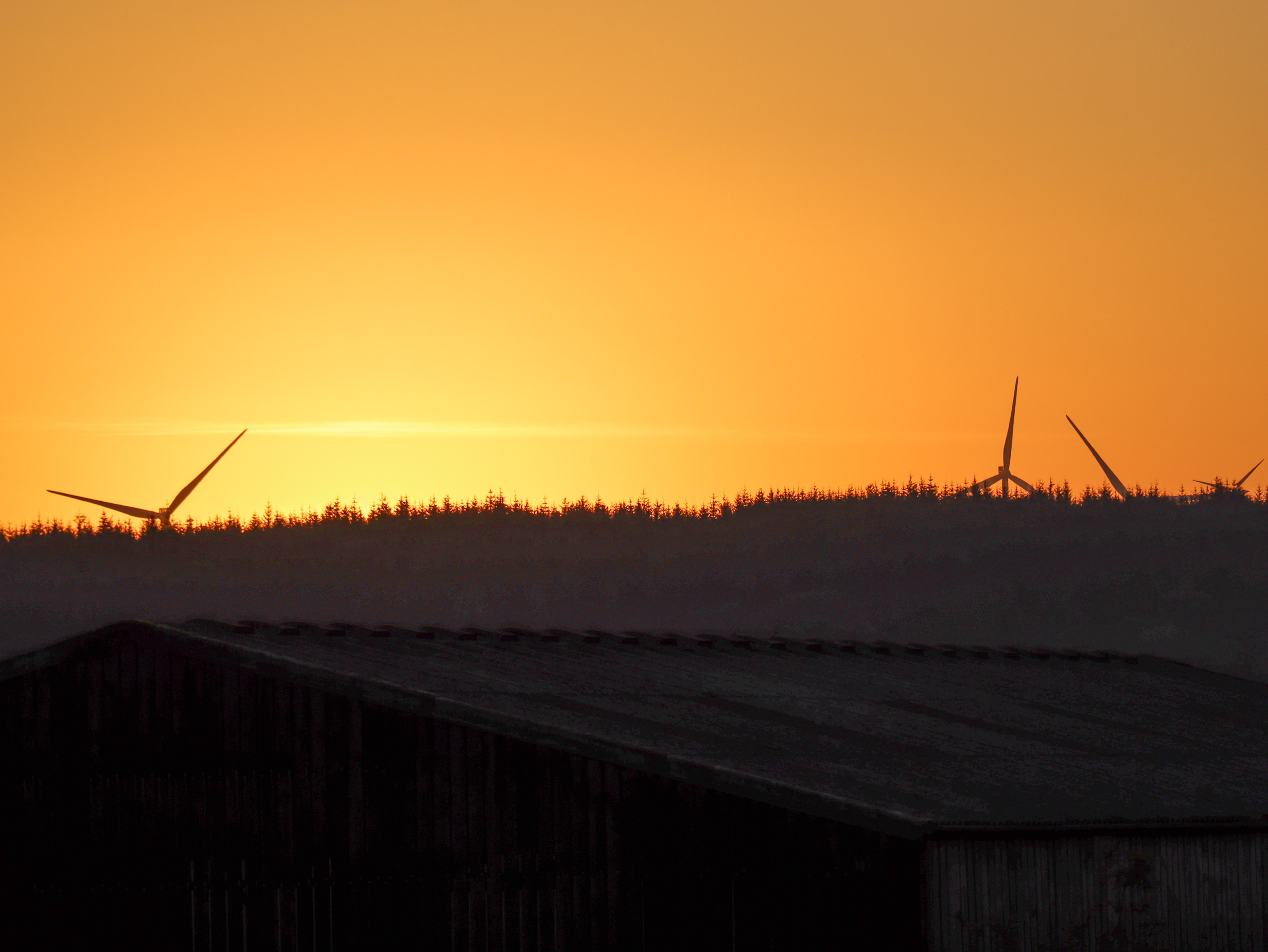 Property image 35 for SC1159391