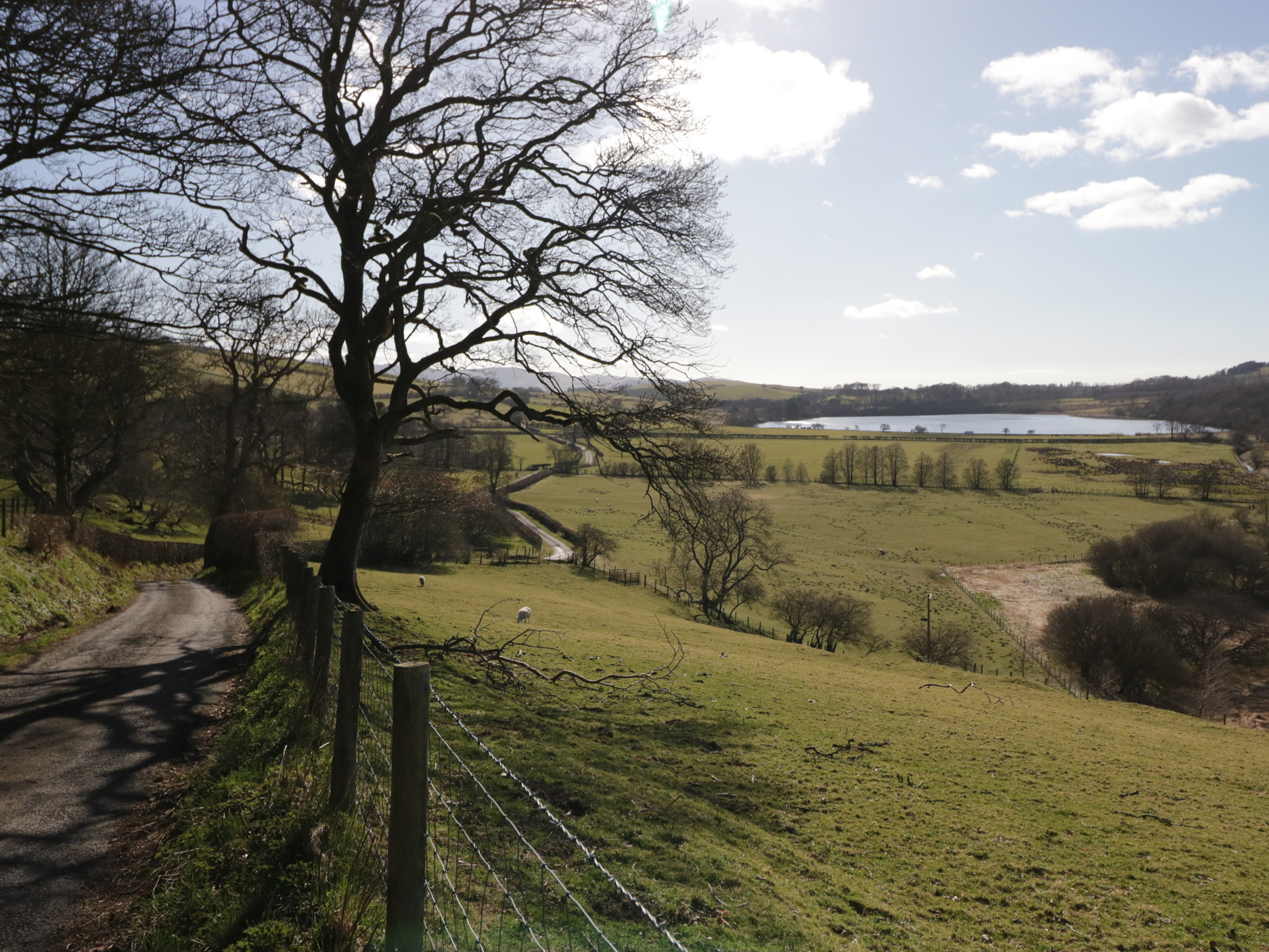 Property image 29 for SC1159474