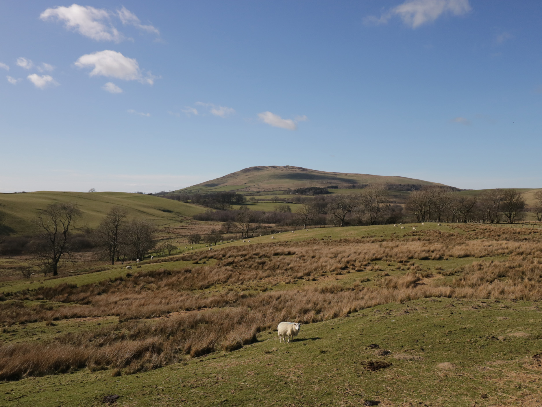 Property image 27 for SC1159554