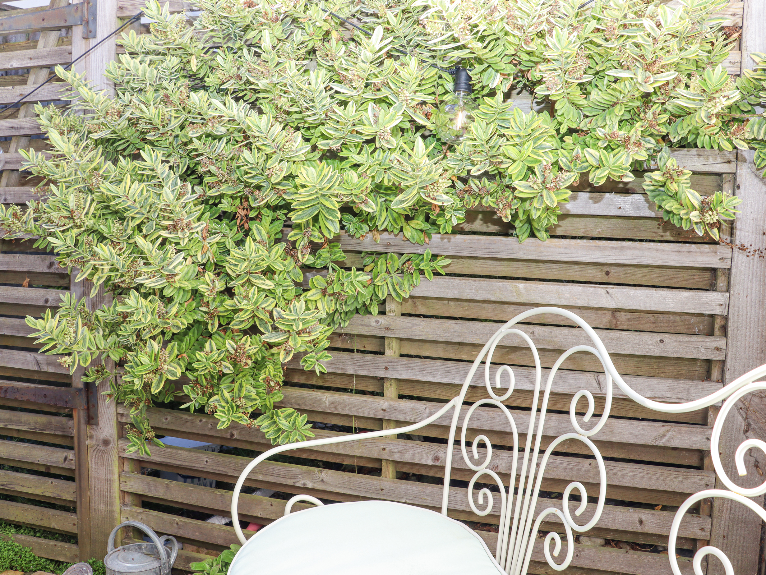 Property image 26 for SC1159944