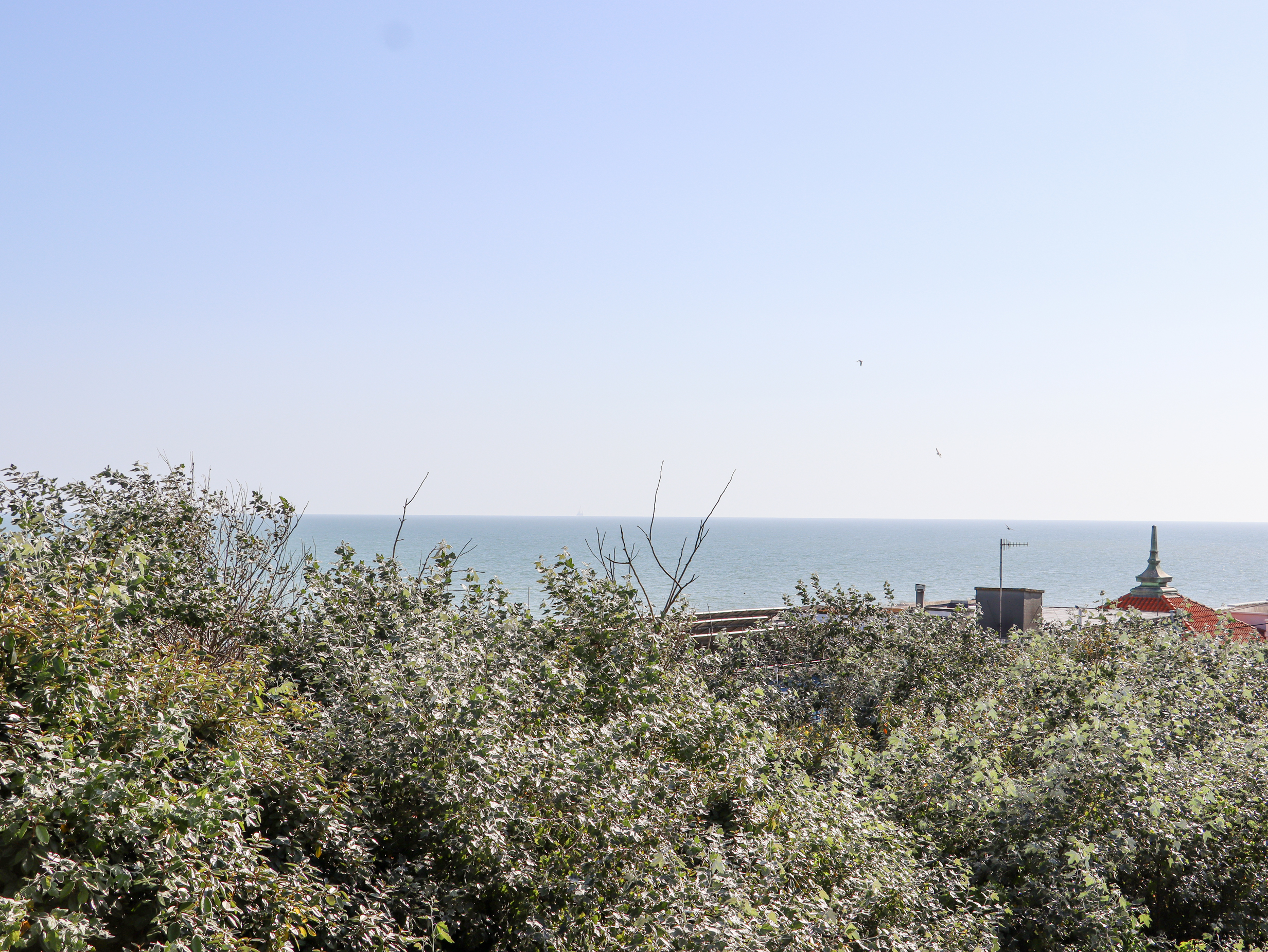 Property image 34 for SC1159944