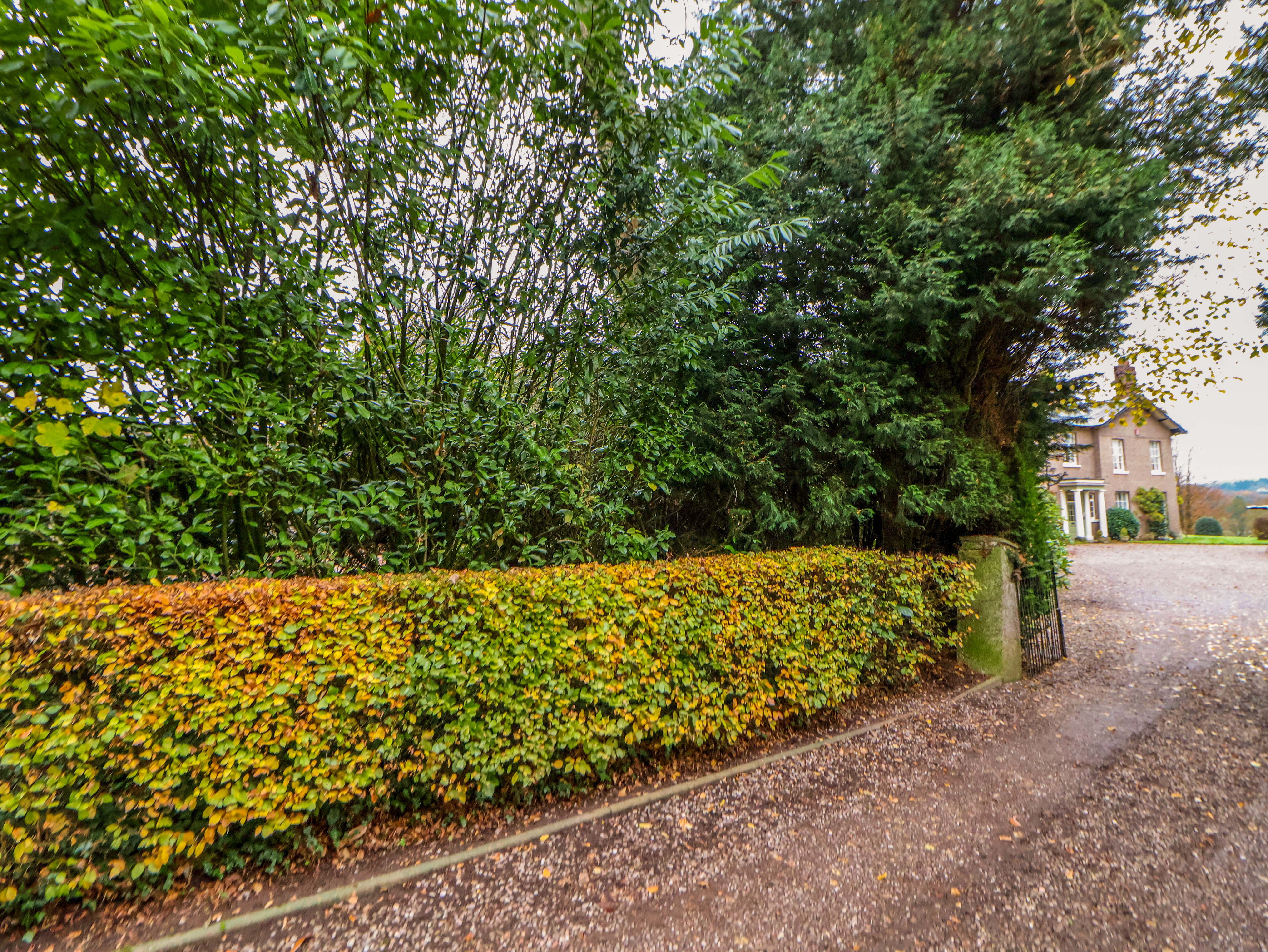 Property image 79 for SC1160202