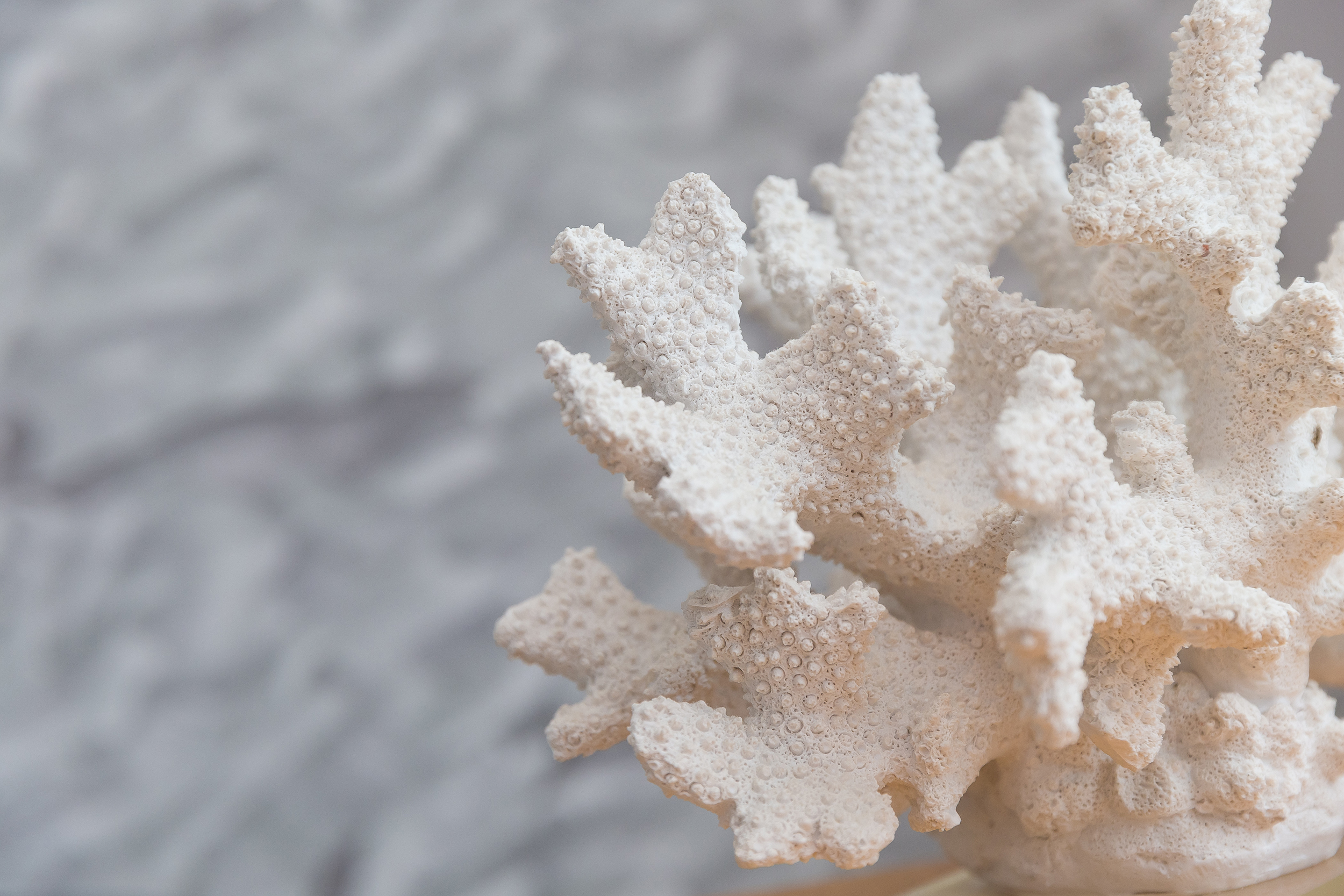 Property image 31 for SC1160206