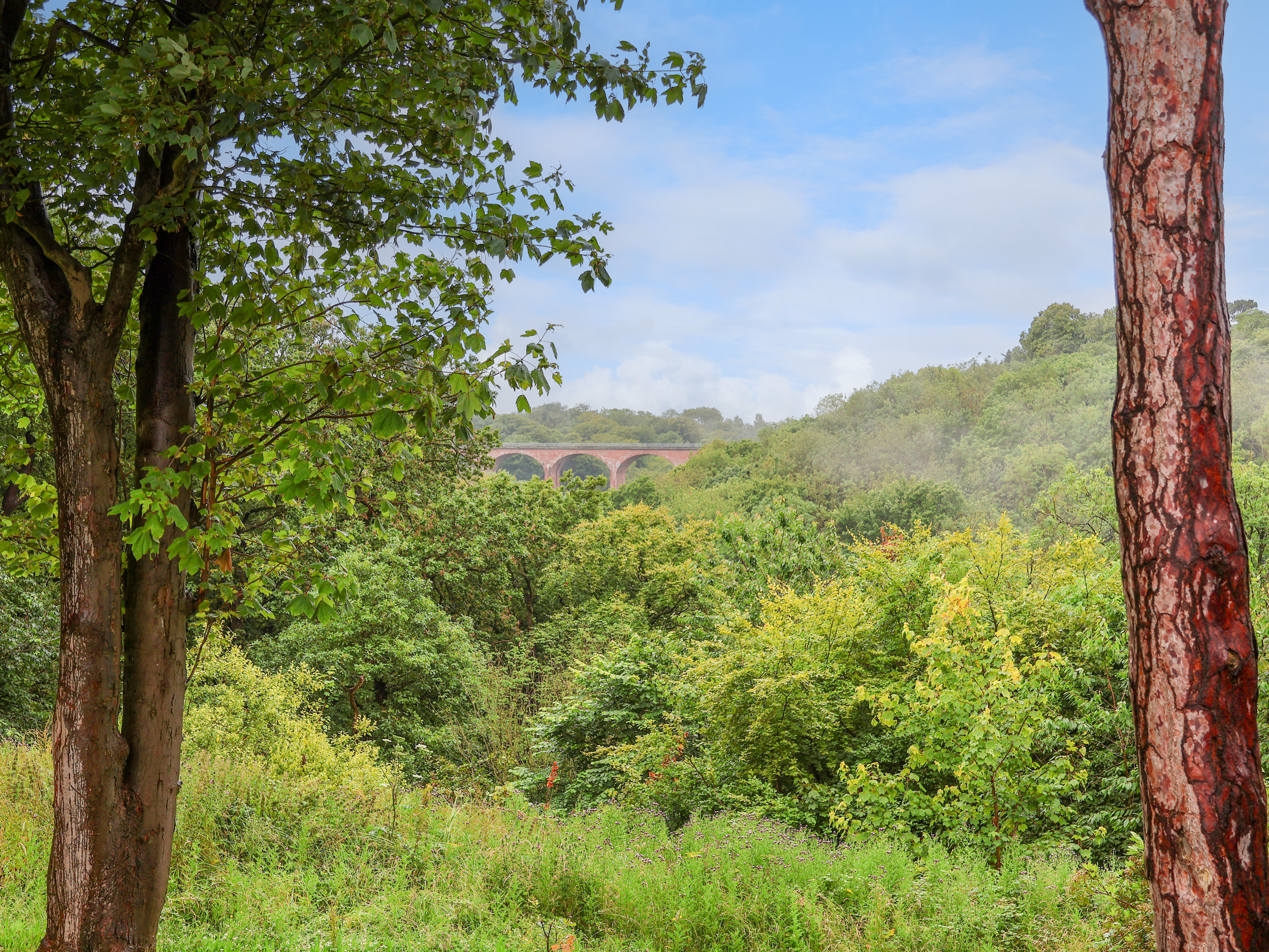 Property image 15 for SC1160511