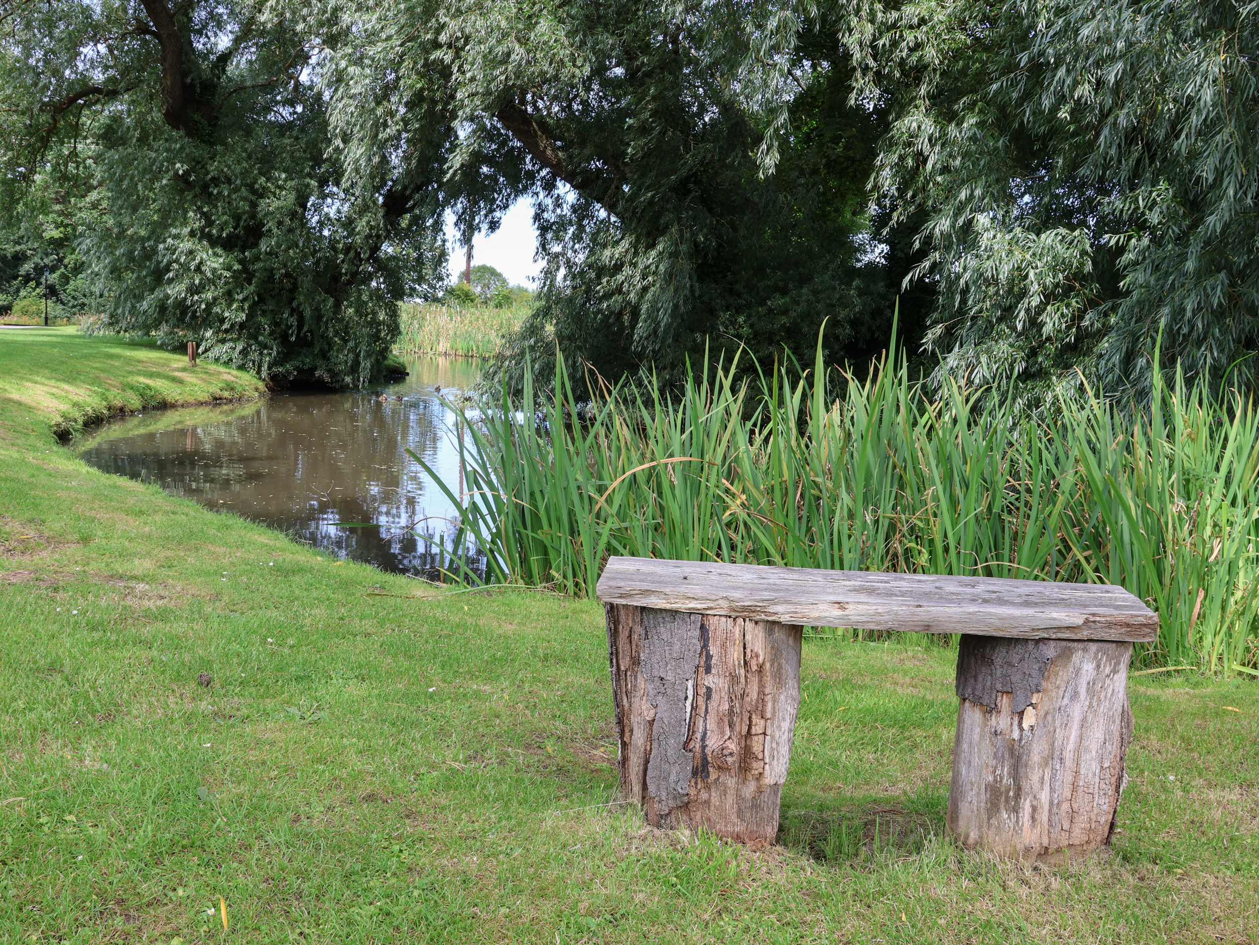 Property image 19 for SC1160511