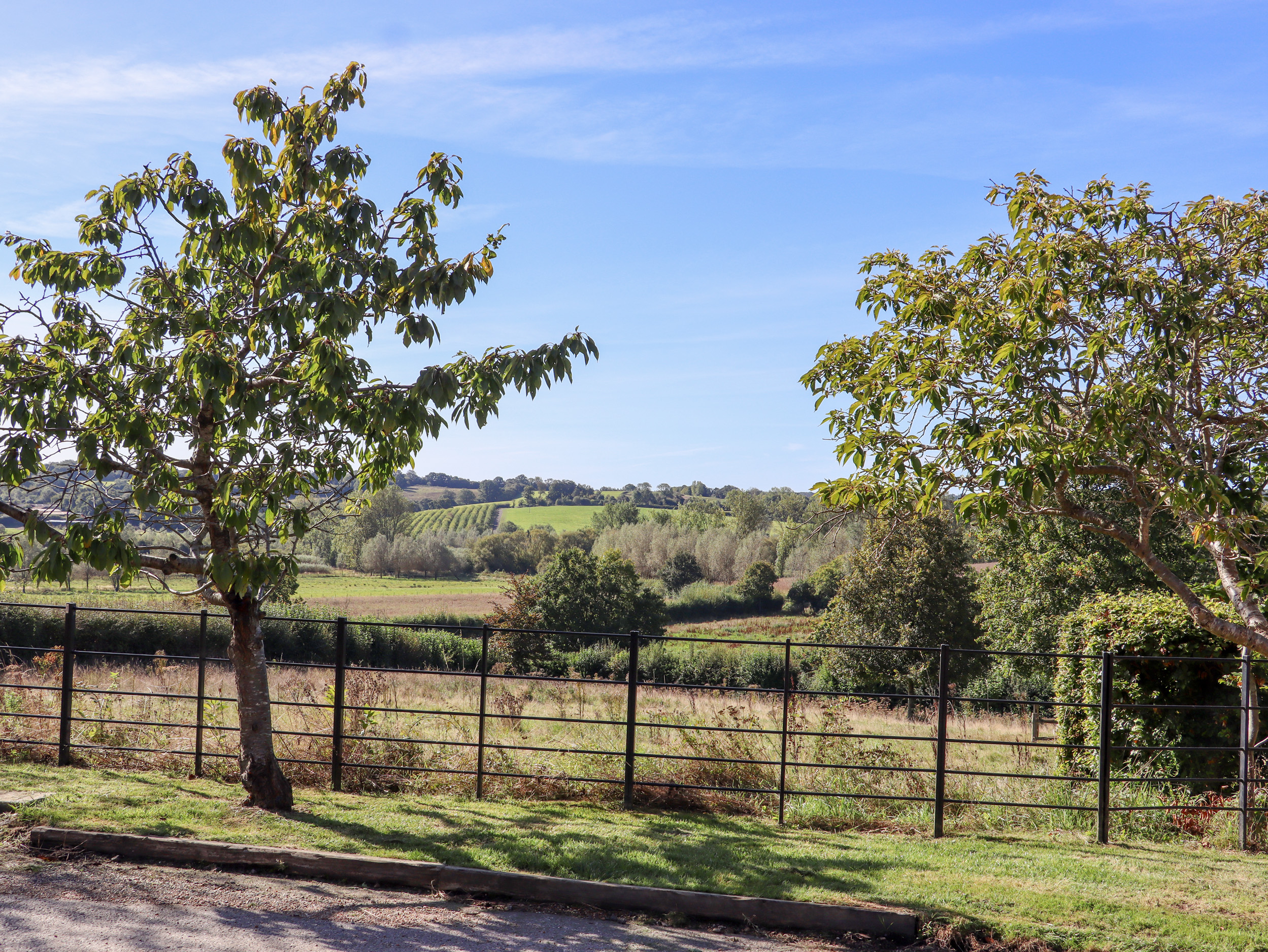 Property image 53 for SC1160624