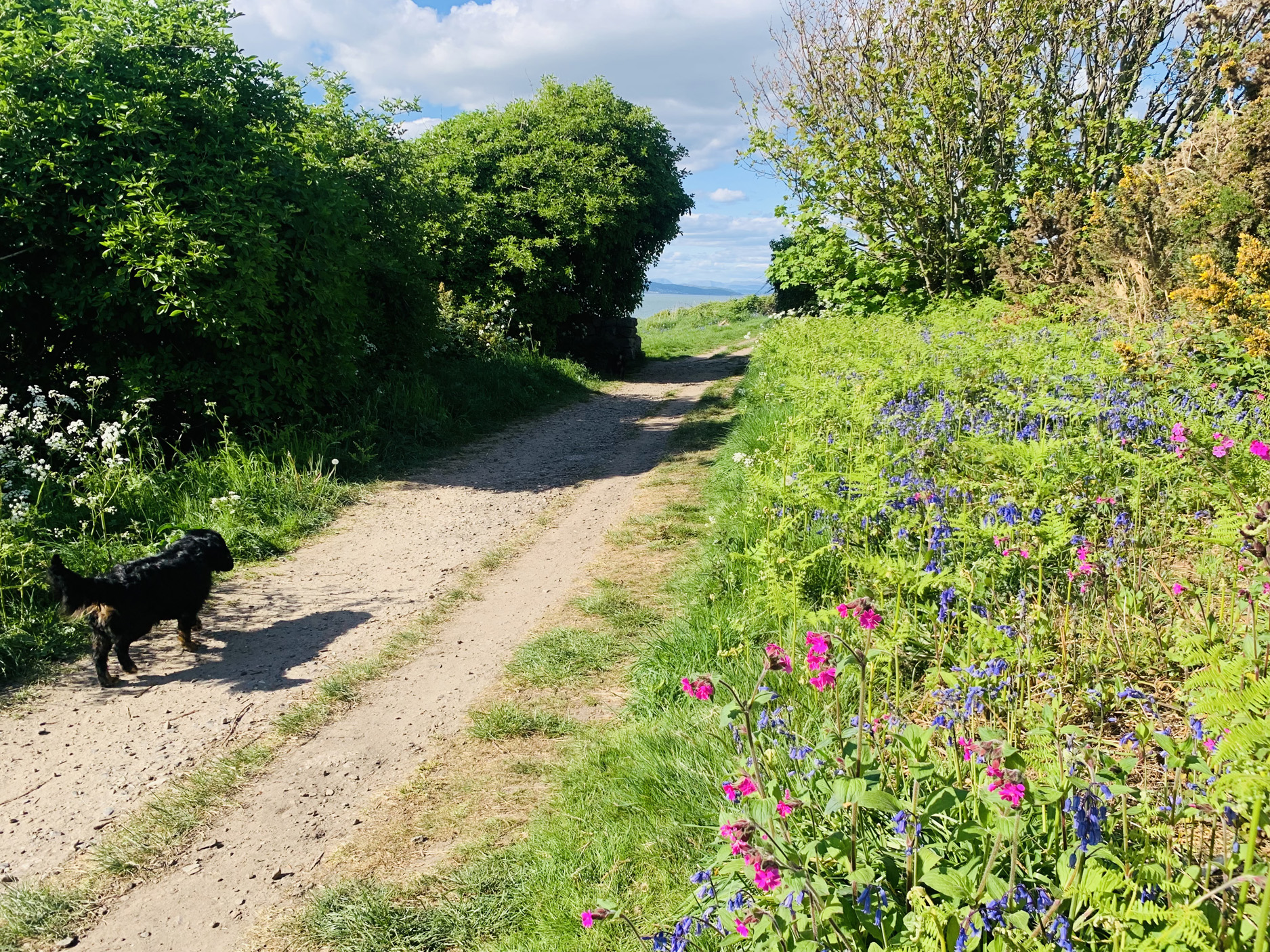 Property image 31 for SC1160638