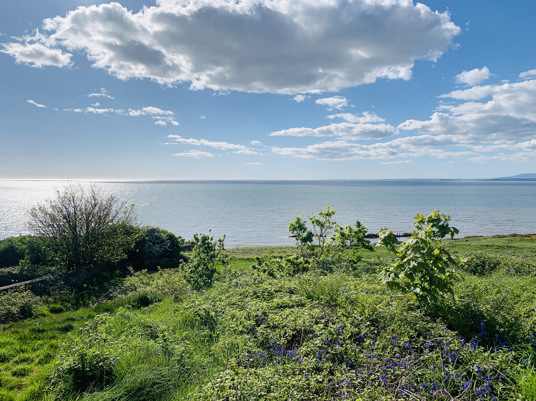 Property image 32 for SC1160638