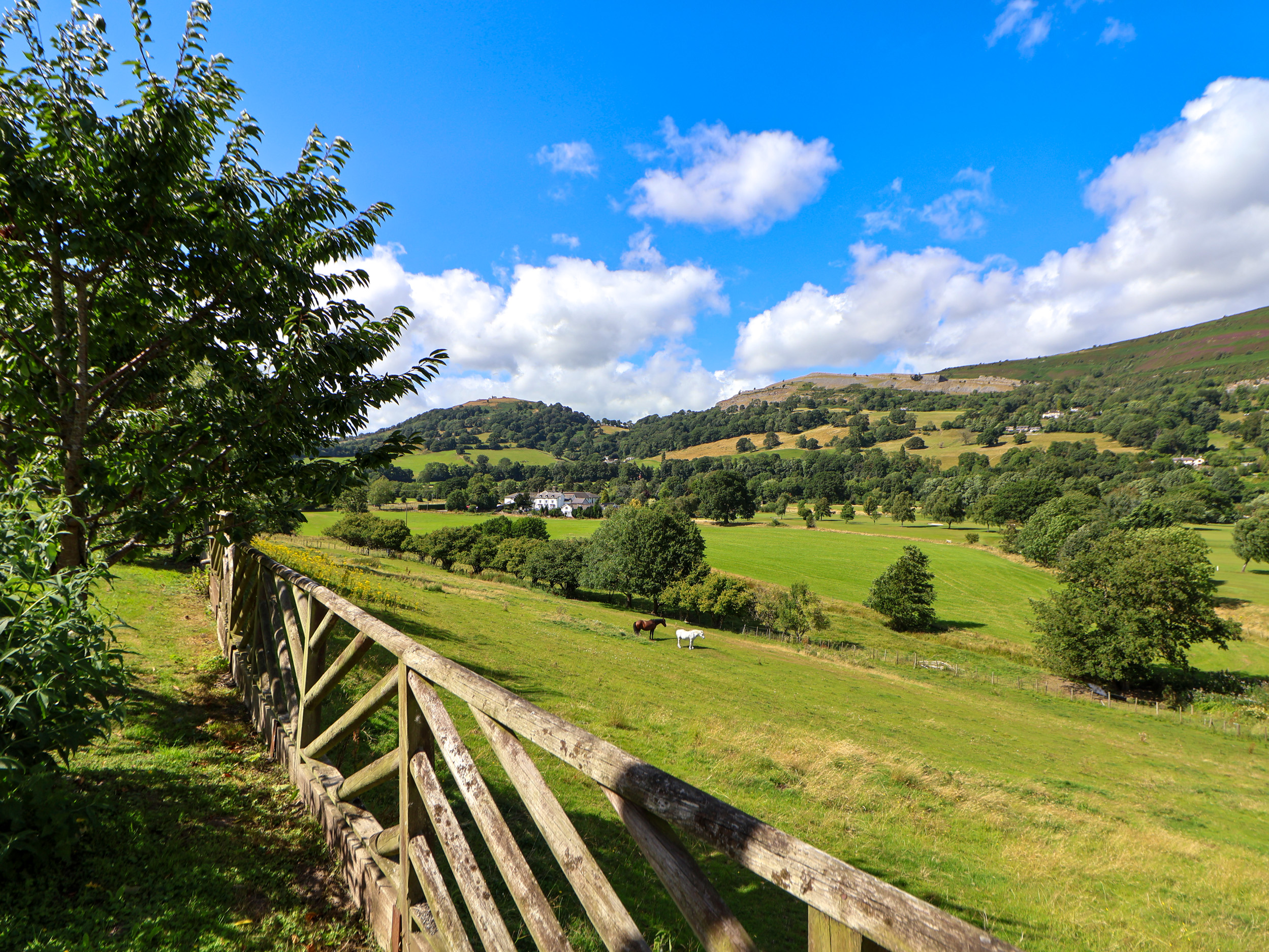 Property image 51 for SC1160642