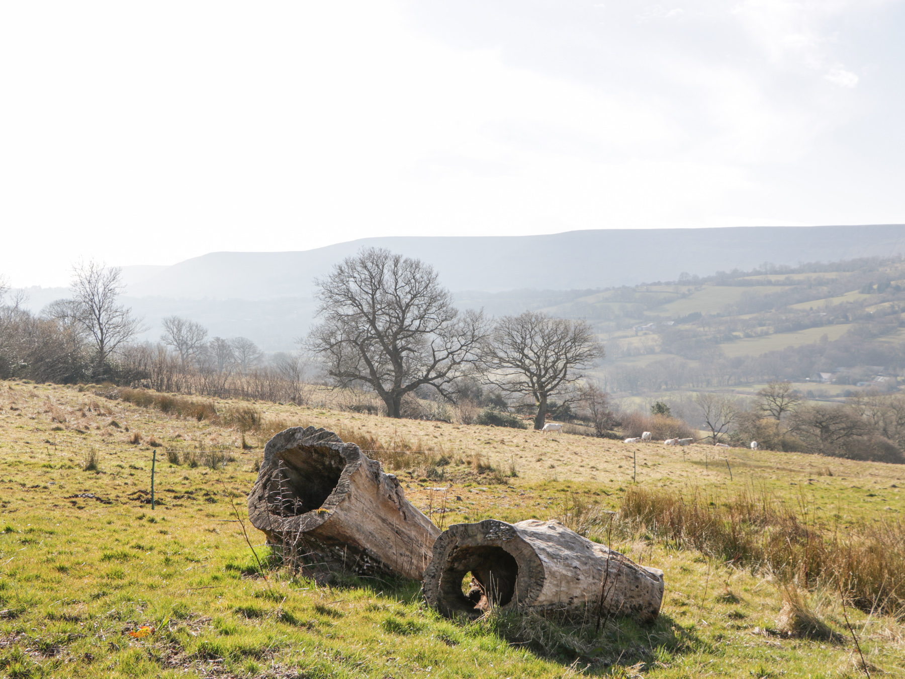 Property image 42 for SC1160649