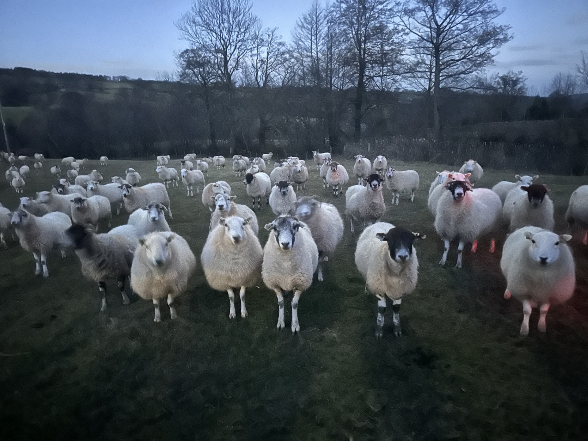 Property image 34 for SC1160649