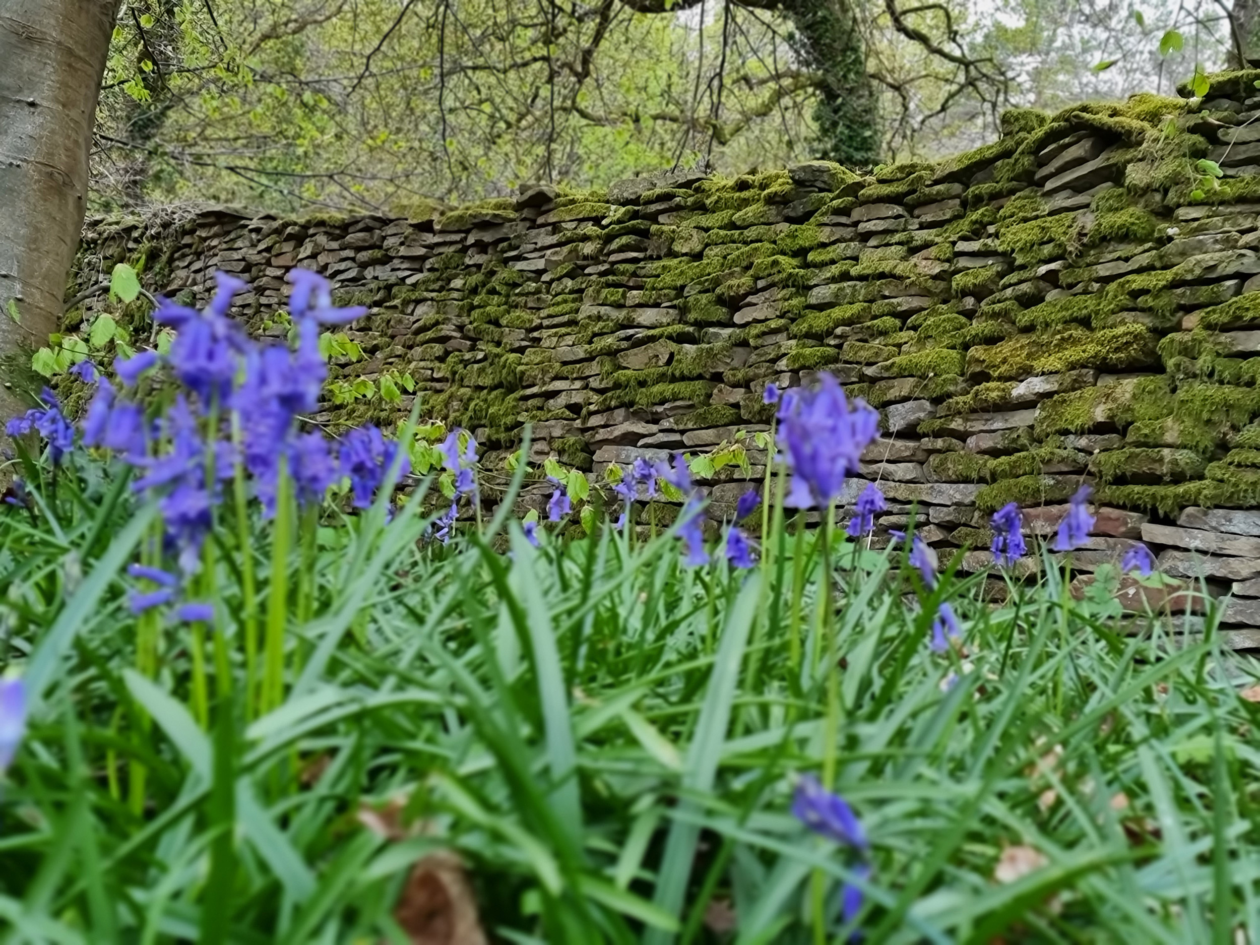 Property image 79 for SC1160802