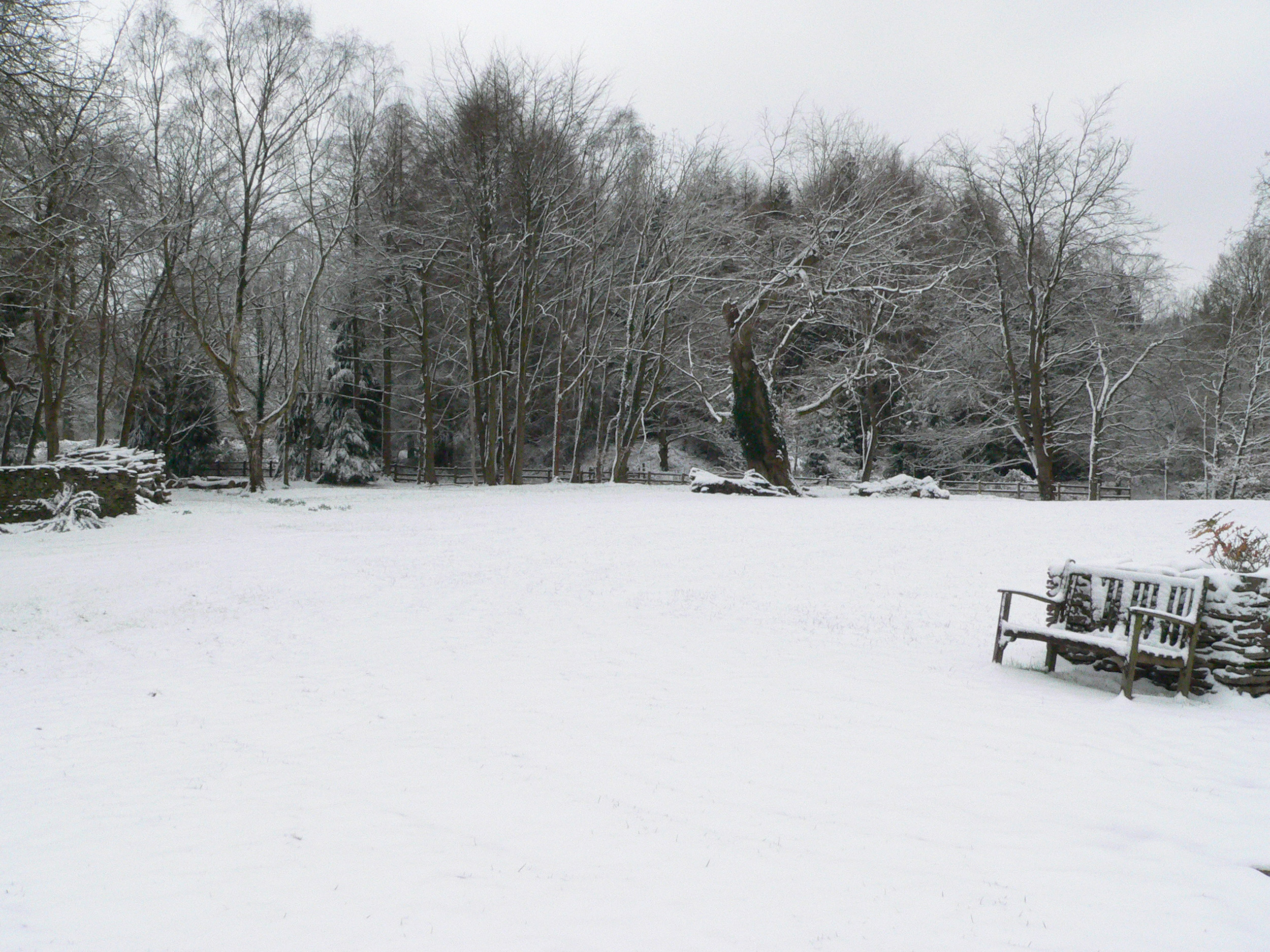 Property image 92 for SC1160802