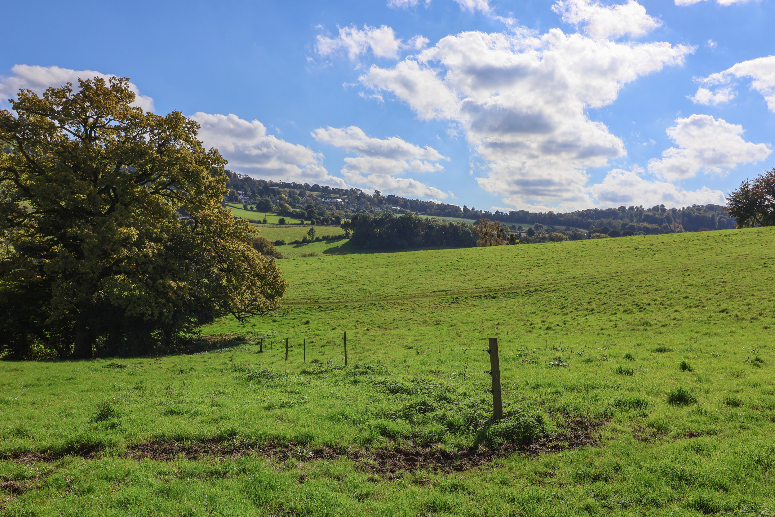 Property image 41 for SC1160924