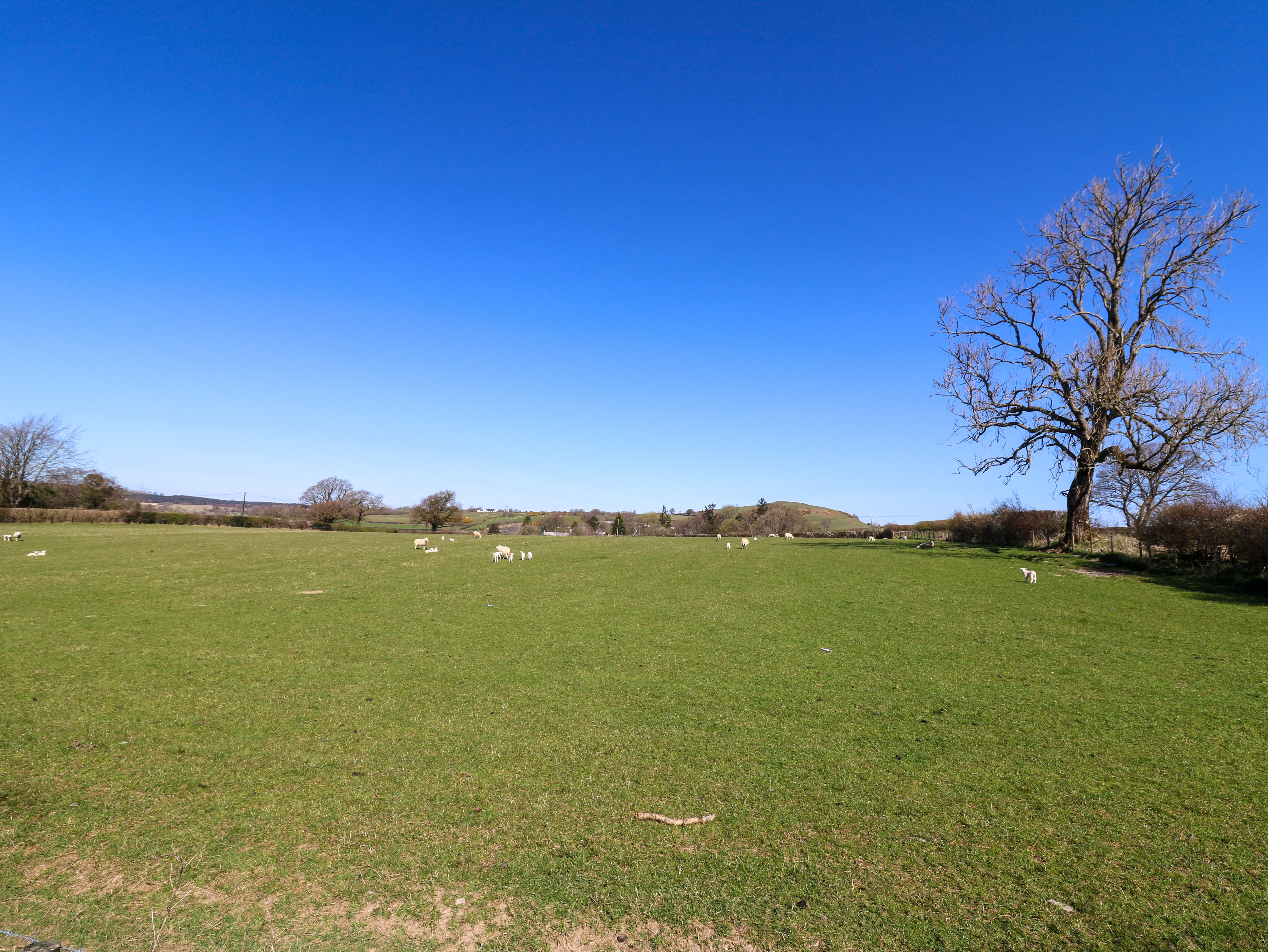 Property image 24 for SC1160935