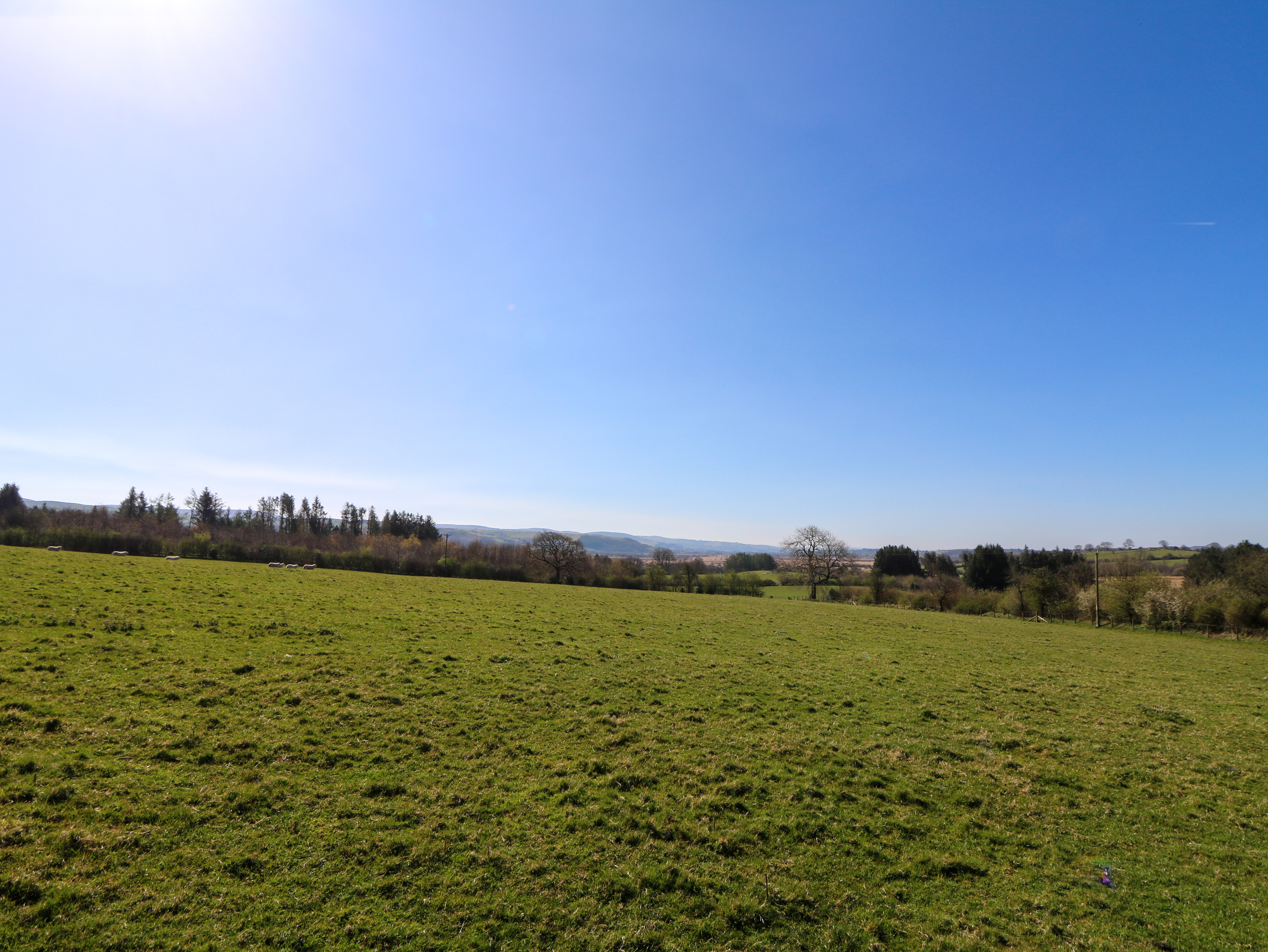 Property image 25 for SC1160935