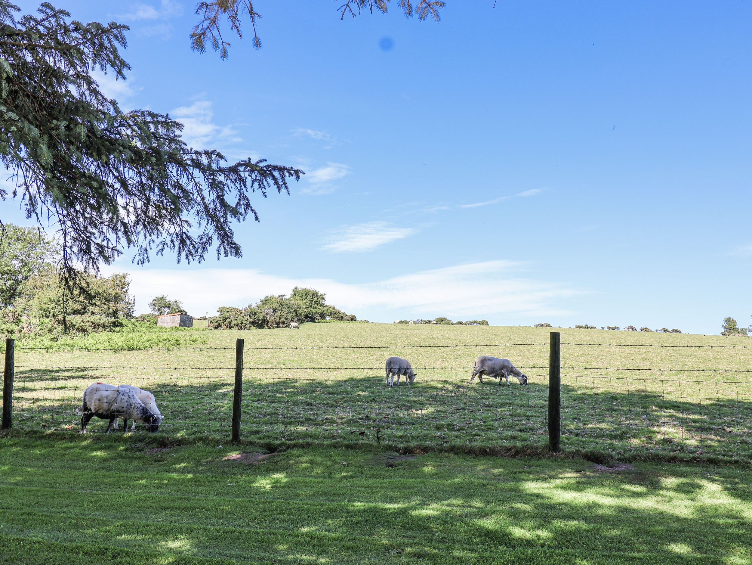 Property image 25 for SC1160993