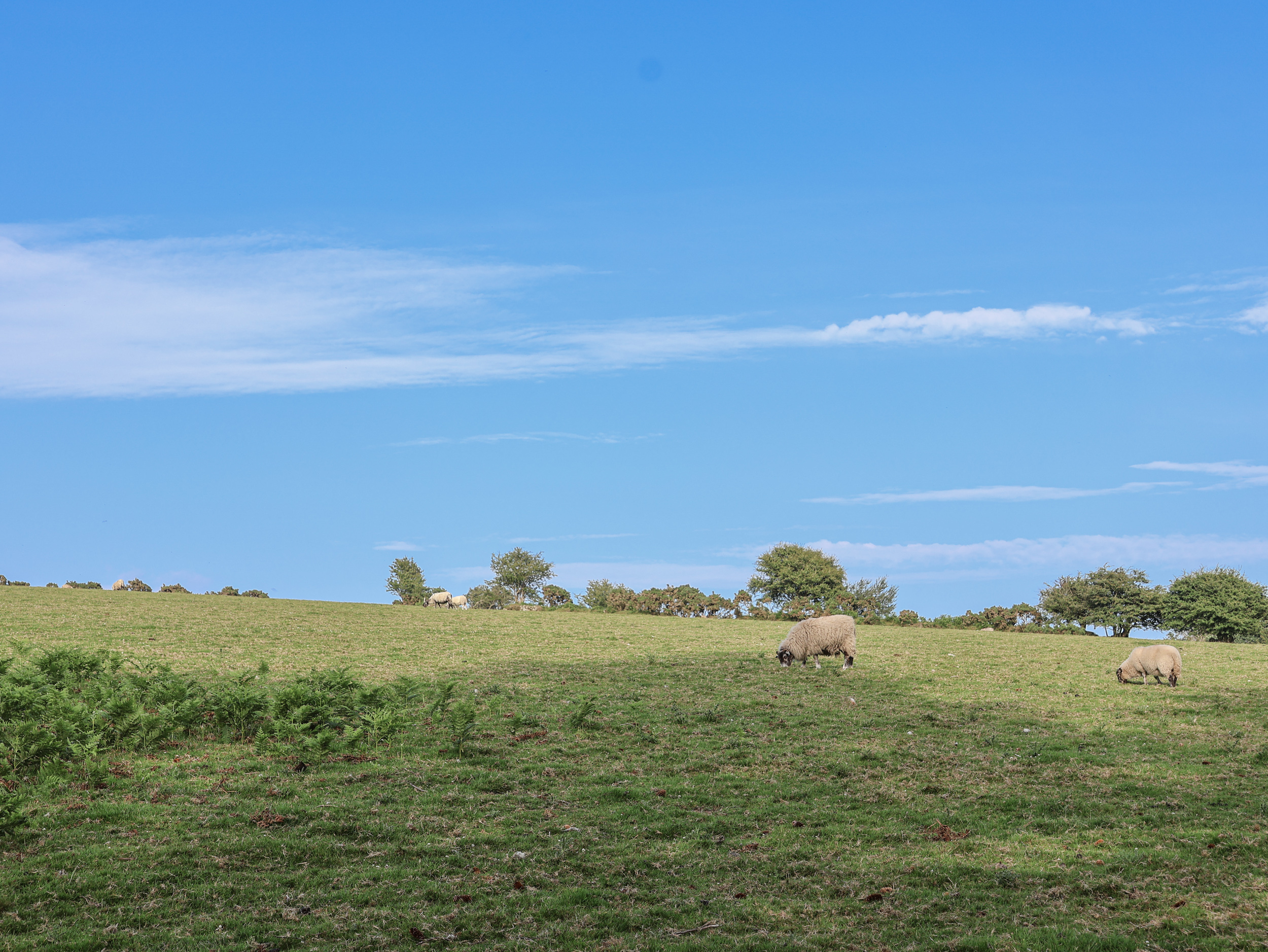 Property image 26 for SC1160993