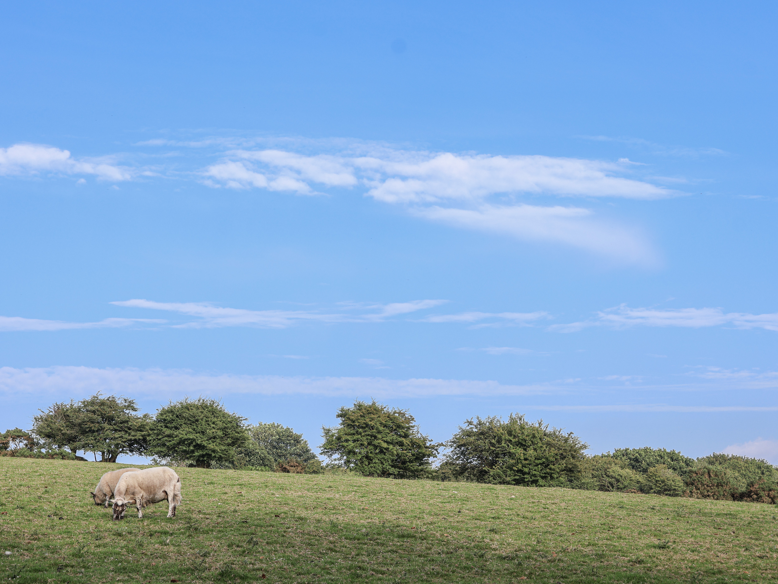 Property image 31 for SC1160994