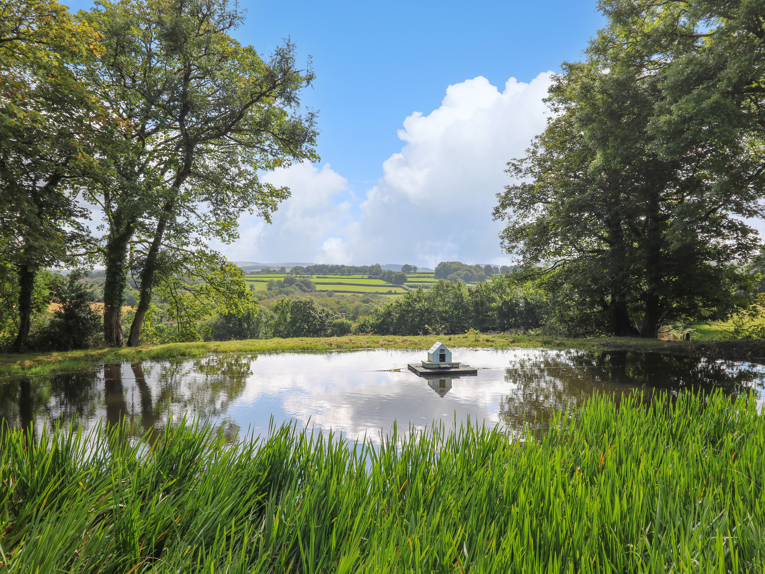 Property image 23 for SC1161381